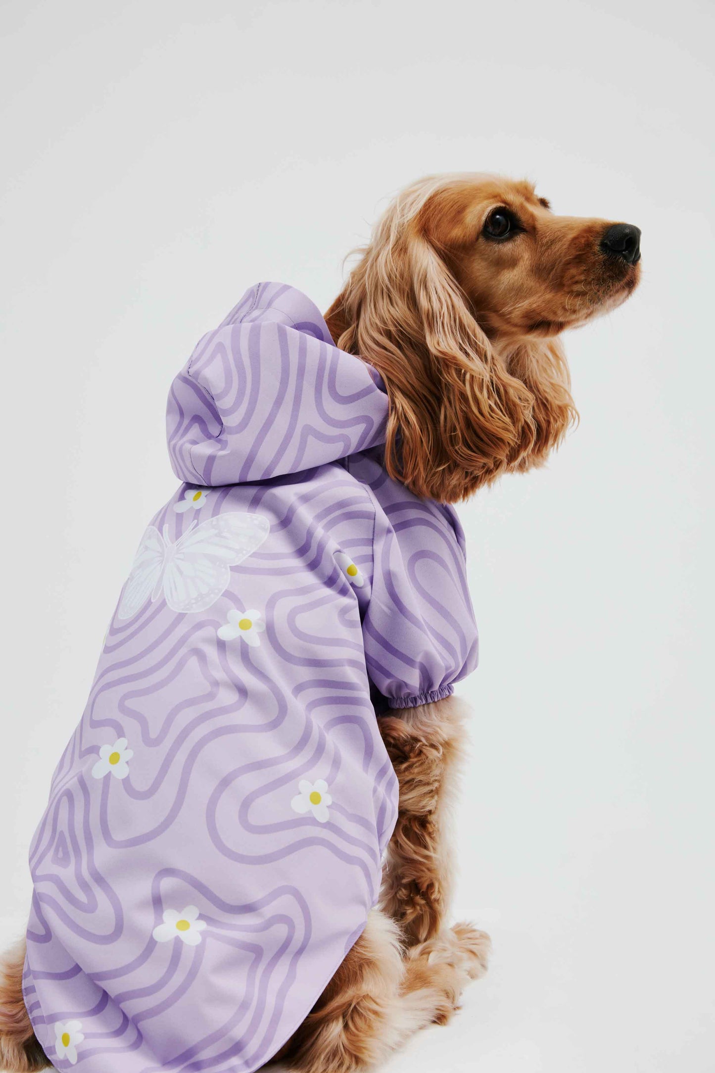 Lilac Butterfly Dog Raincoat