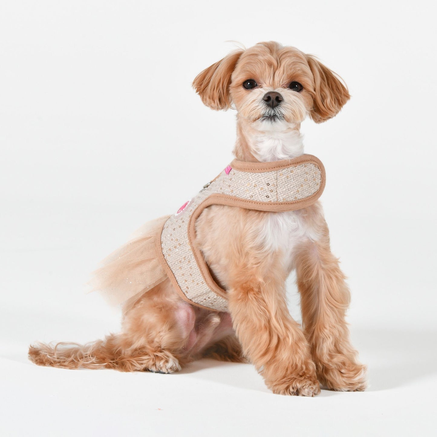 OLCHI MILENA HARNESS BEIGE