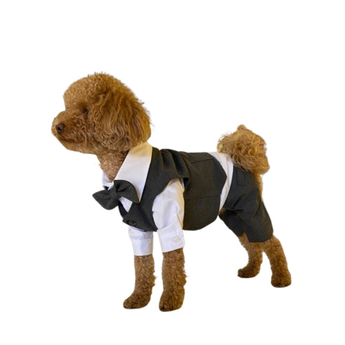 ANTHRACITE DOG SUIT
