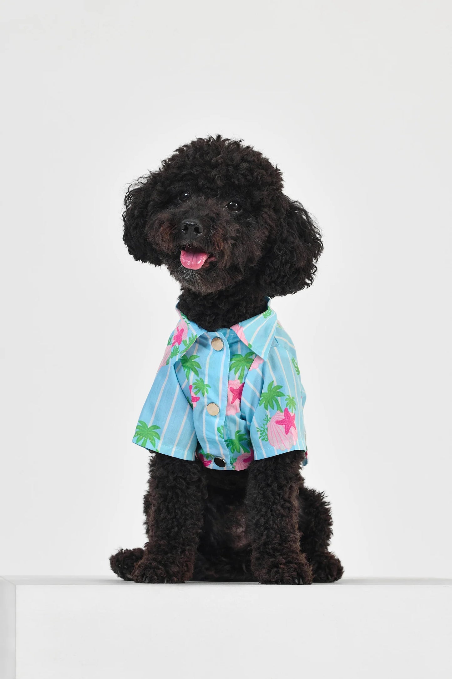 Blue Striped Dog Shirt