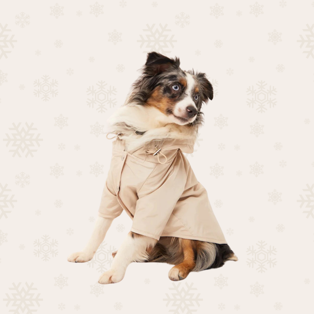 Torino Dog Raincoat - Beige