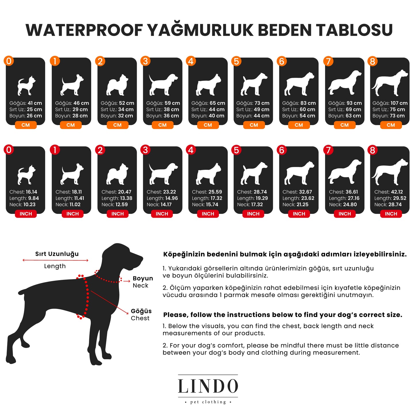 AQUA BLACK DOG COAT