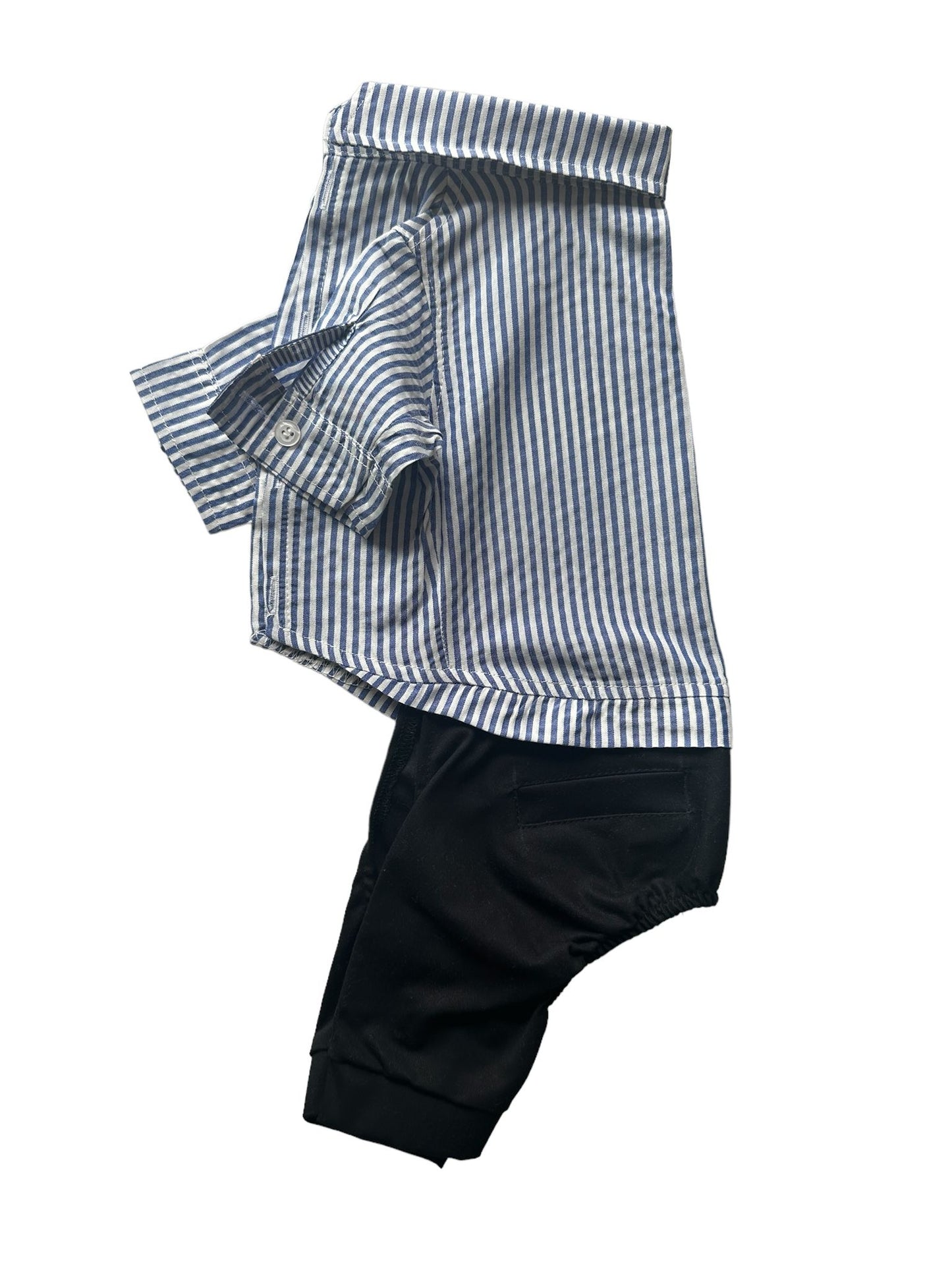 STRIPED DOG SLOPET