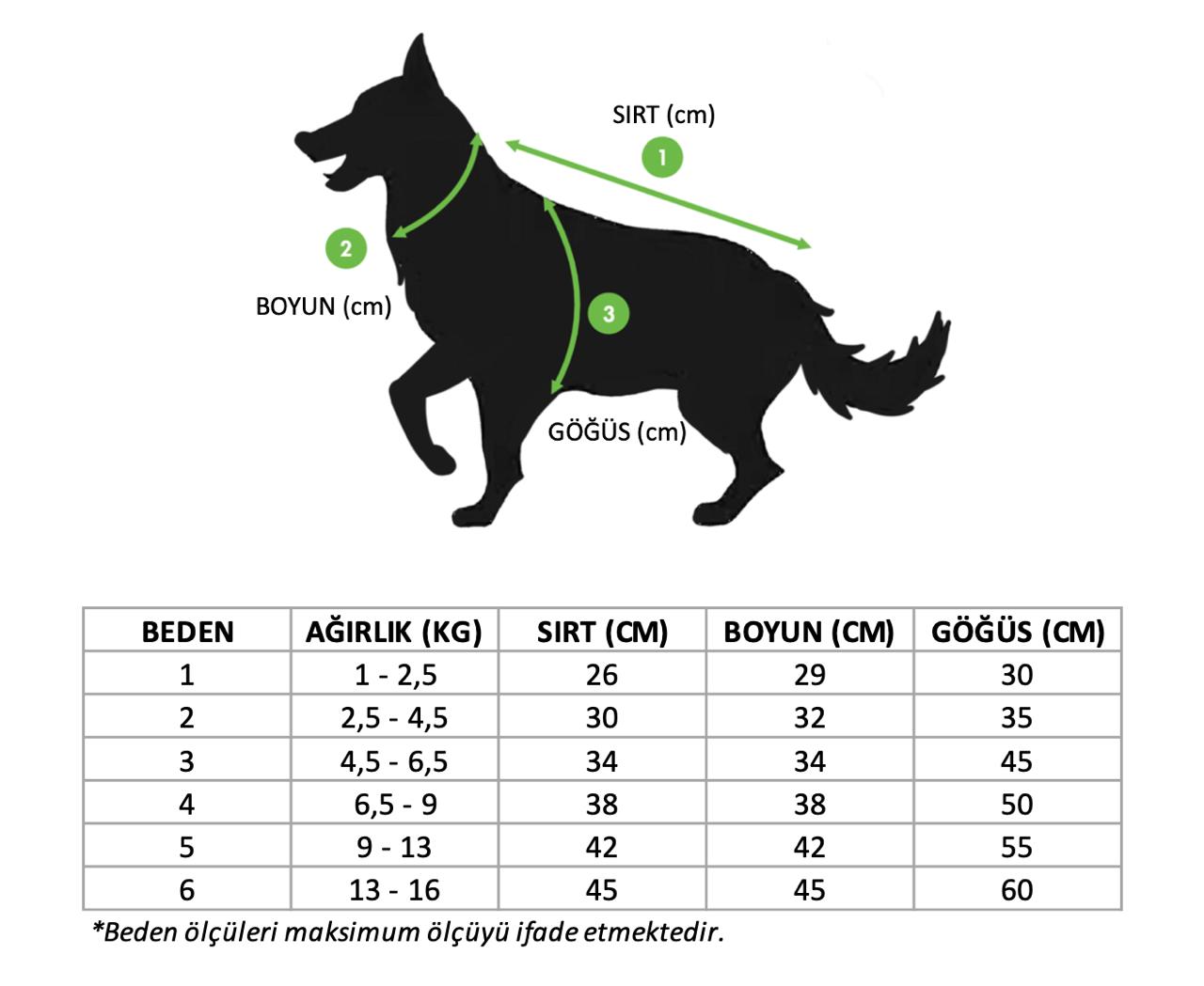 Milano Köpek Kazak - Su Yeşili