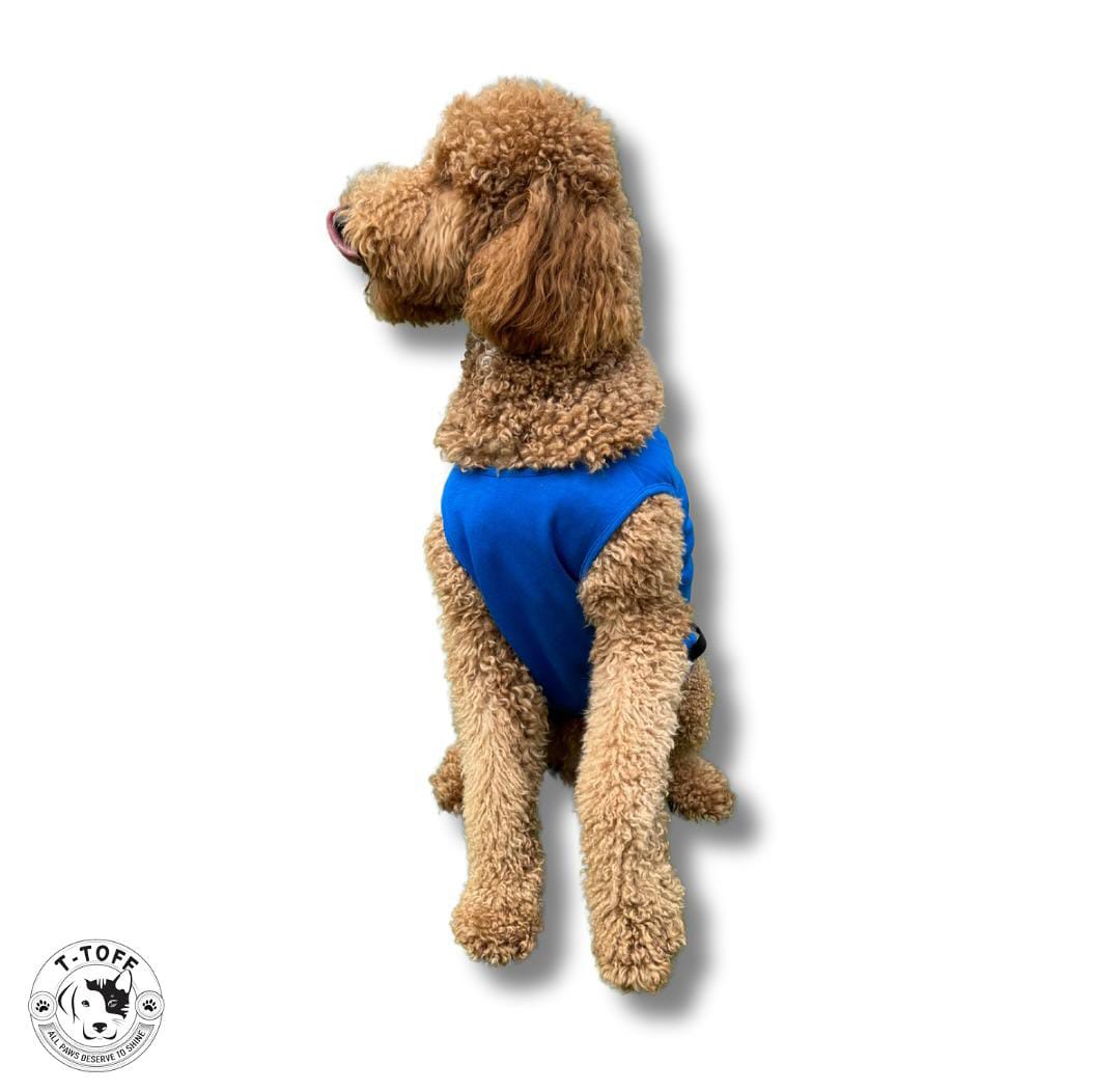T-TOFF BLUE DOG T-SHIRT WITH BAG
