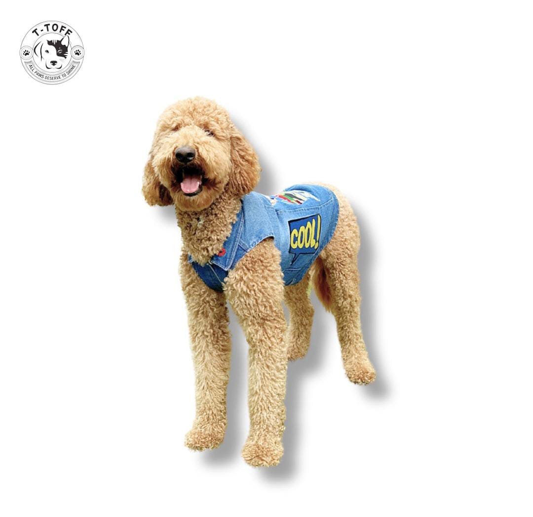 T-TOFF DENIM DOG JACKET