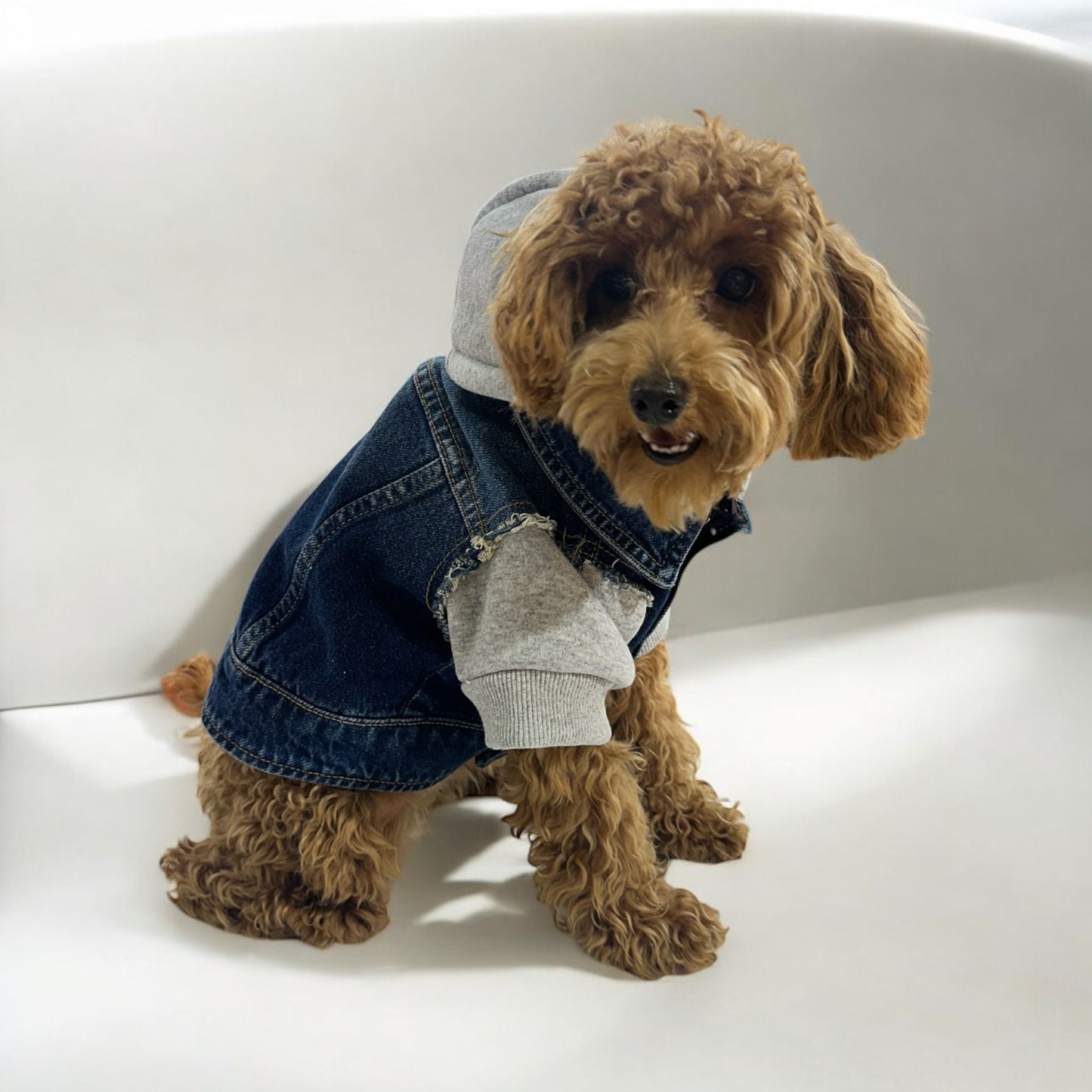GRAY SWEAT DETAIL DOG DENIM JACKET