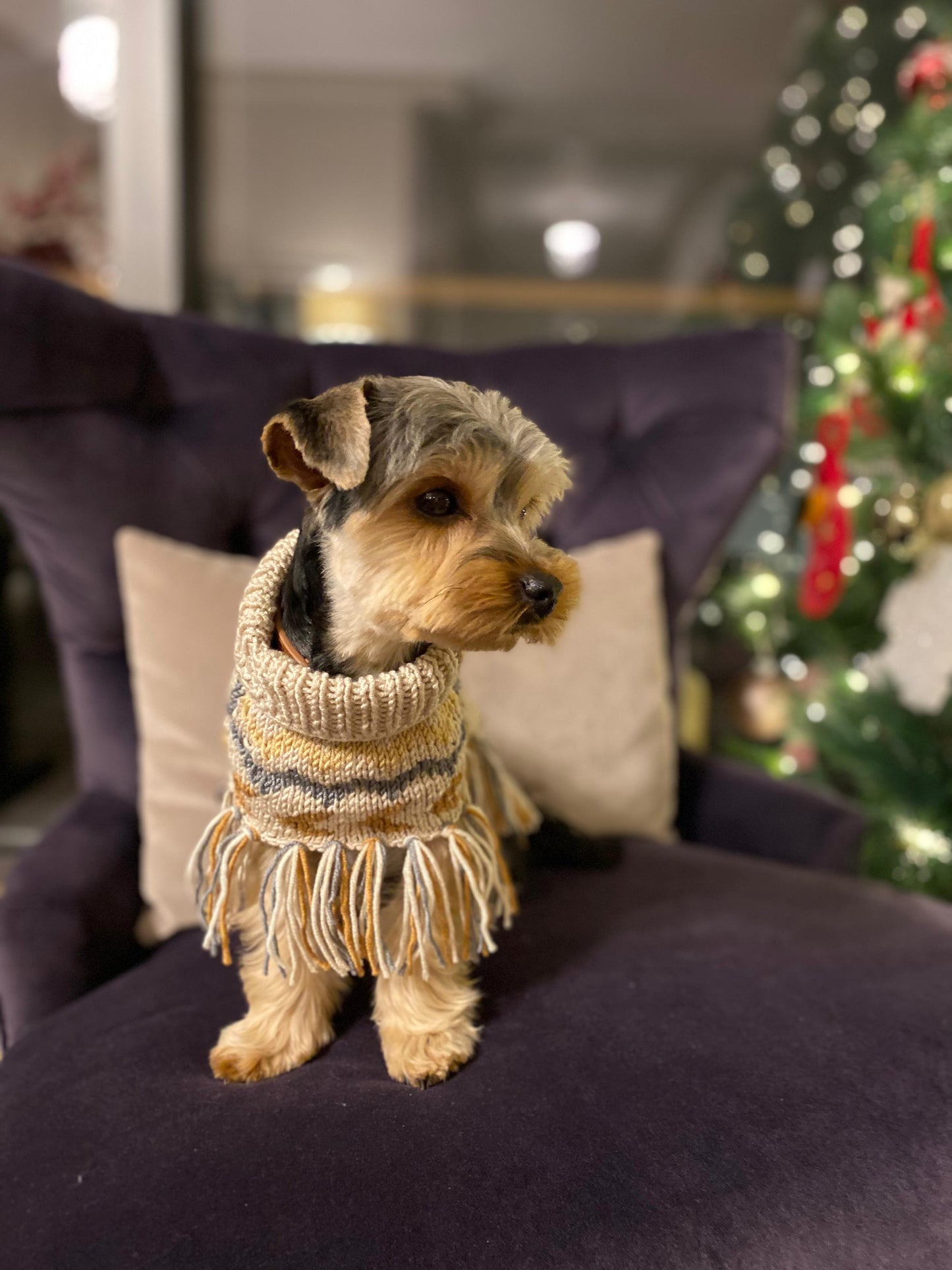 MY PETIT PAW BEIGE FRINGED DOG SWEATER