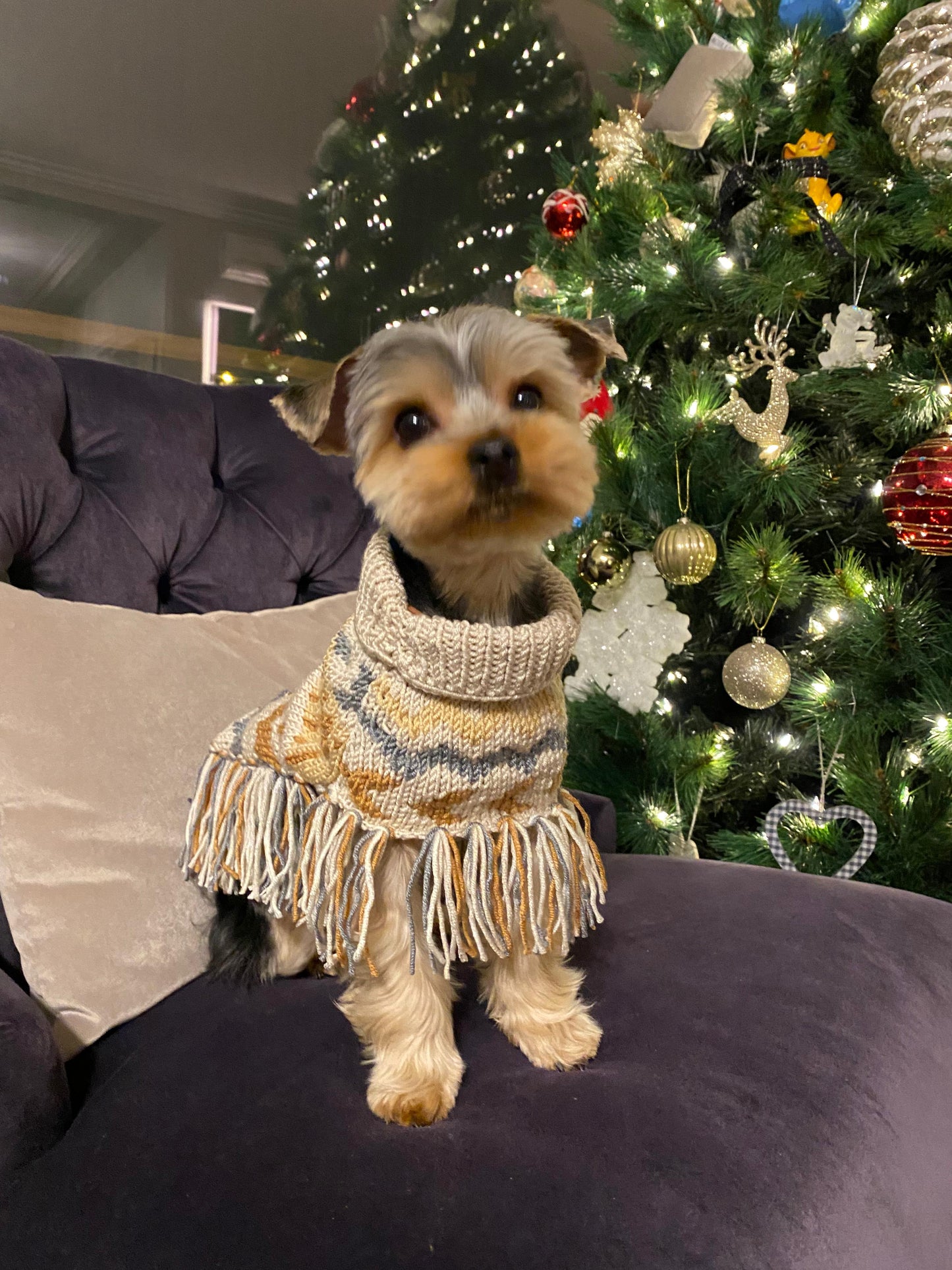 MY PETIT PAW BEIGE FRINGED DOG SWEATER