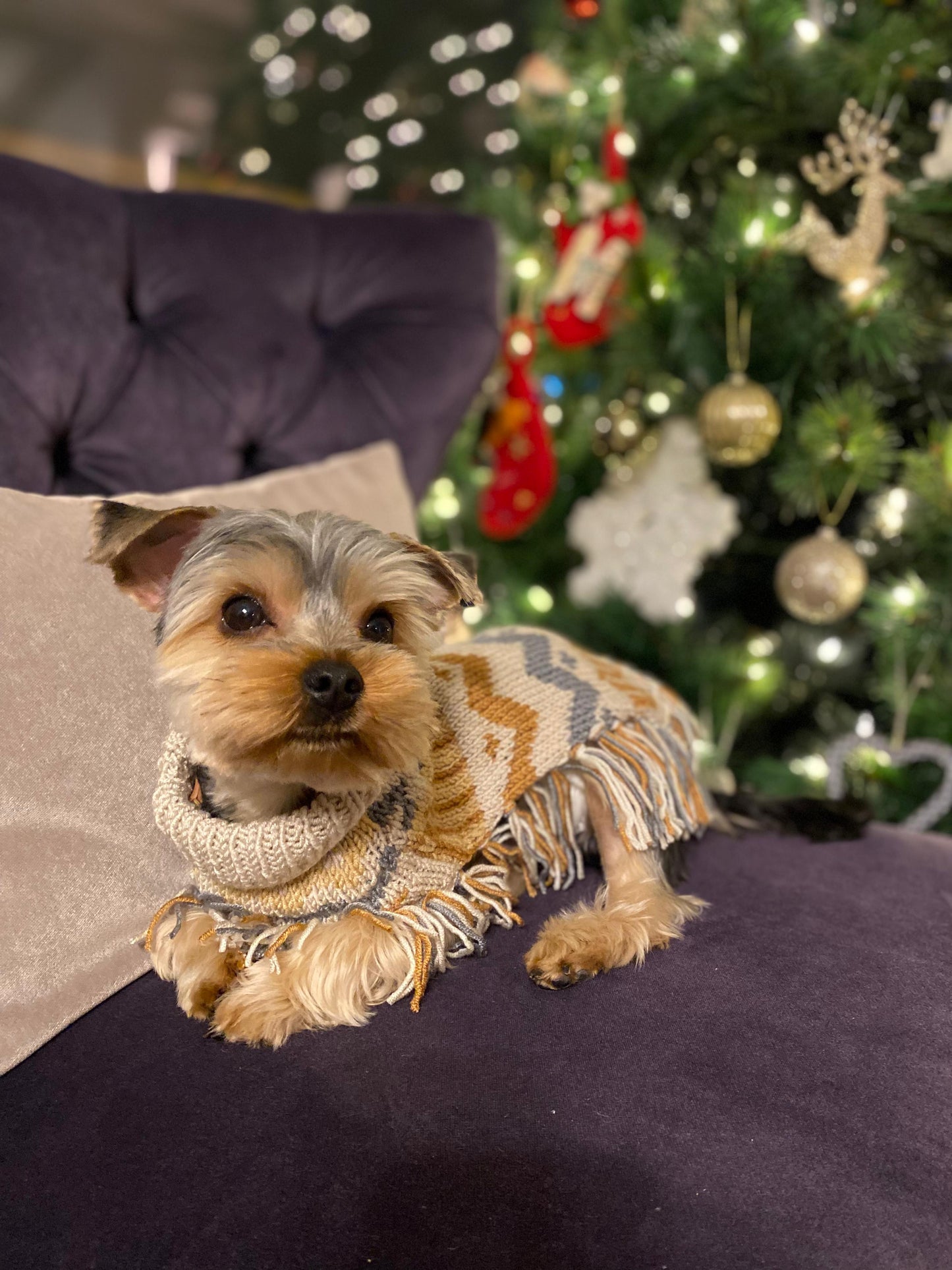 MY PETIT PAW BEIGE FRINGED DOG SWEATER