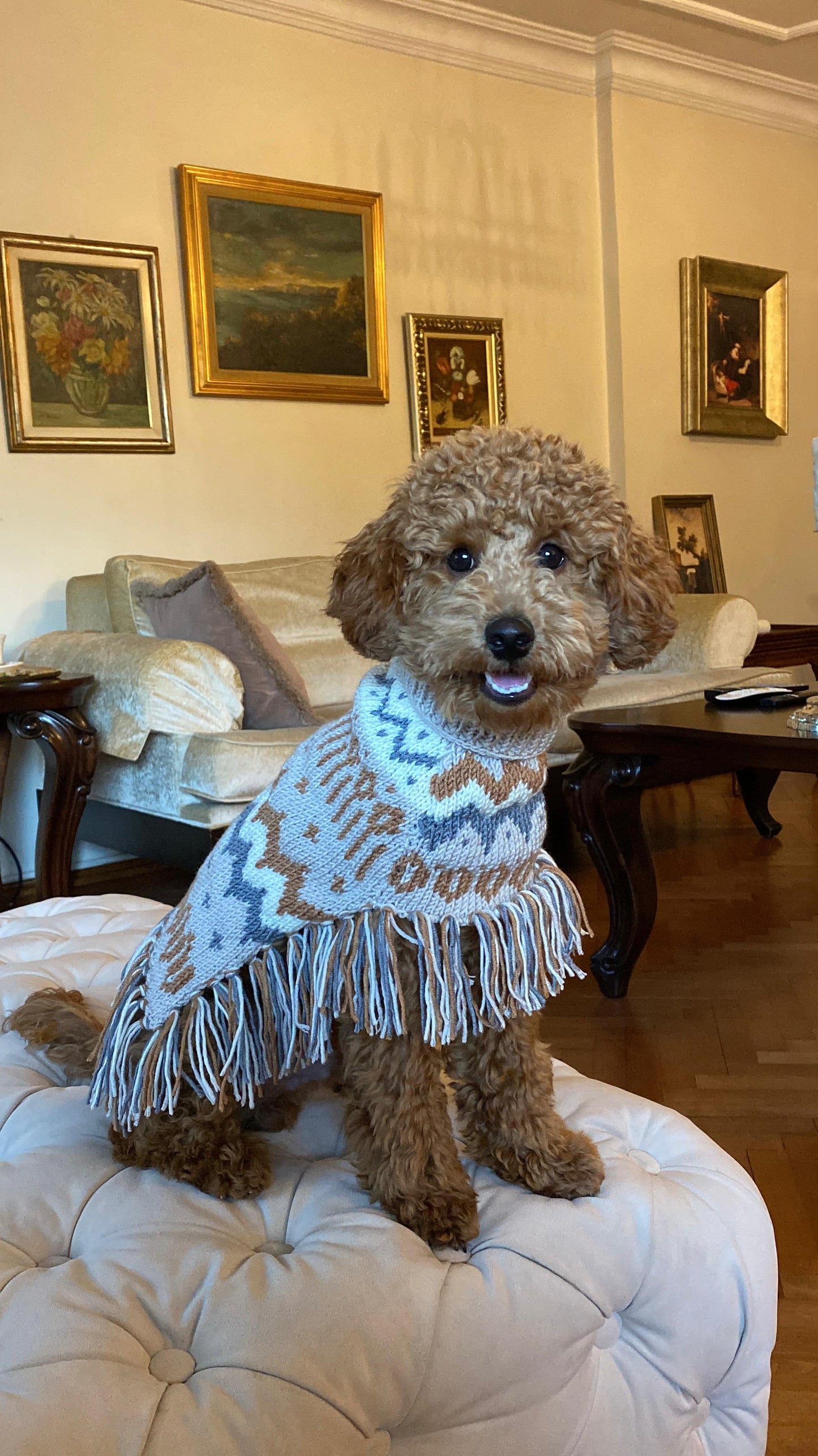 MY PETIT PAW BEIGE FRINGED DOG SWEATER