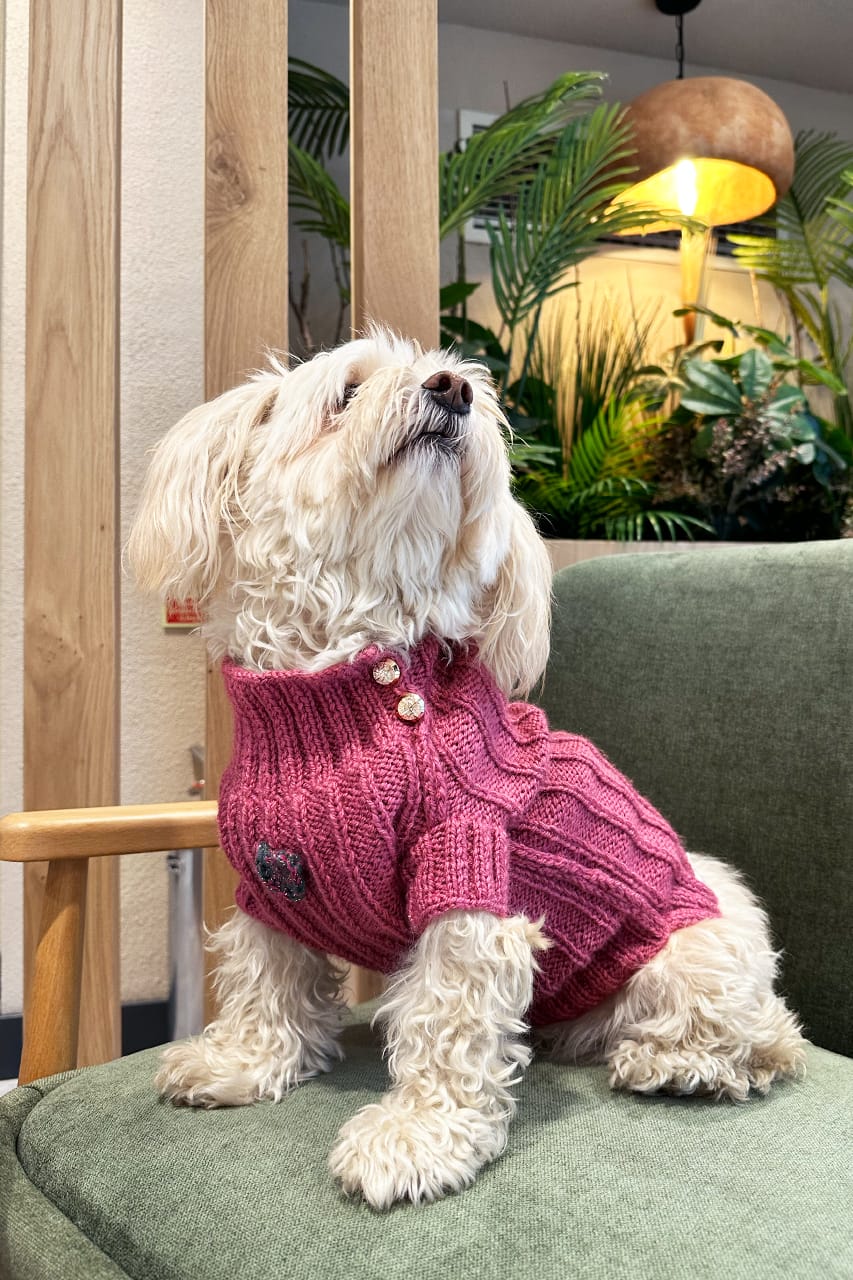 LORICO DOG HEART SWEATER