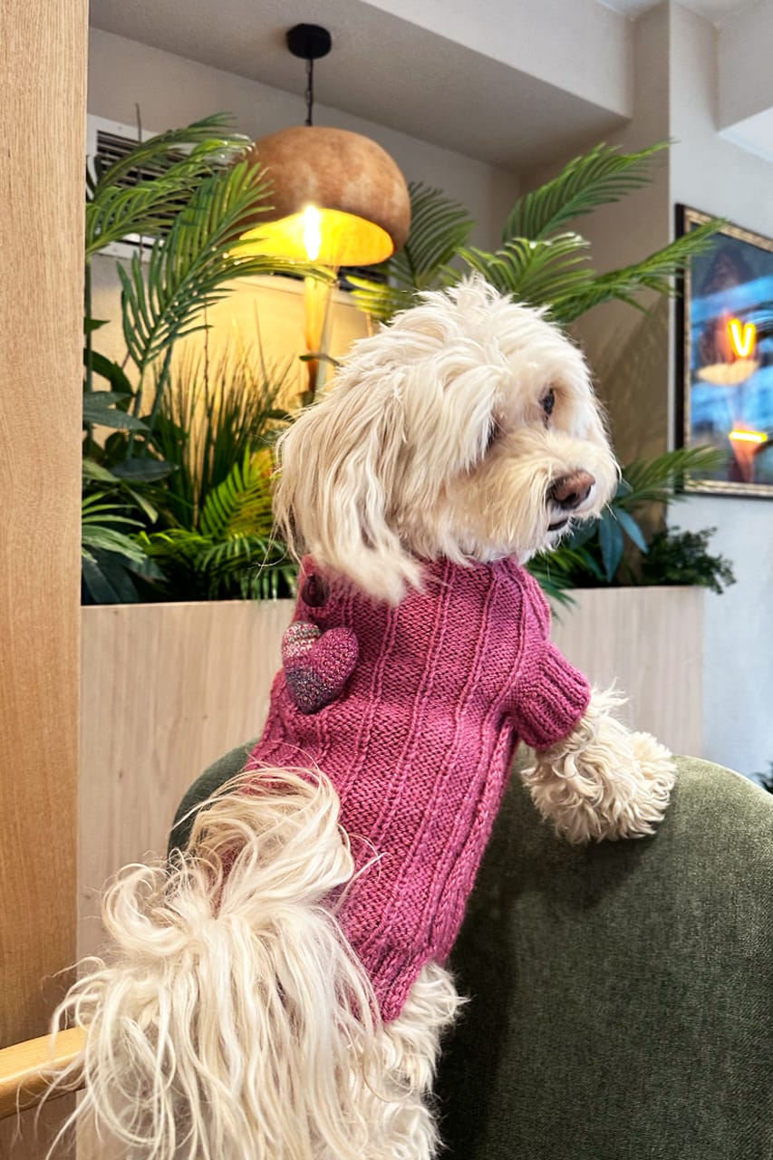 LORICO DOG HEART SWEATER