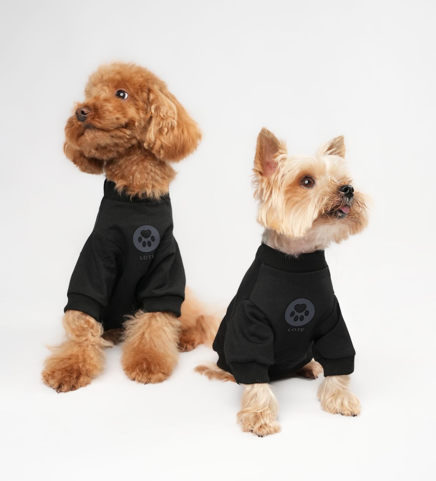 LOTE DOG BLACK SWEATSHIRT
