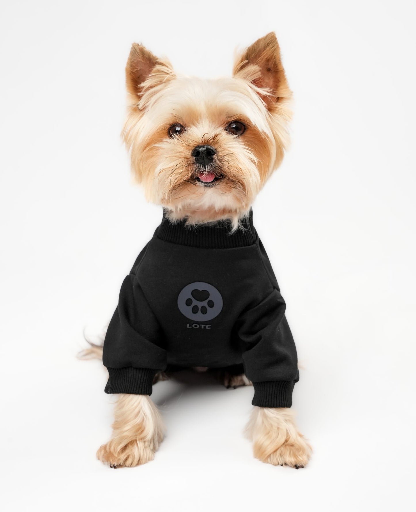 LOTE DOG BLACK SWEATSHIRT