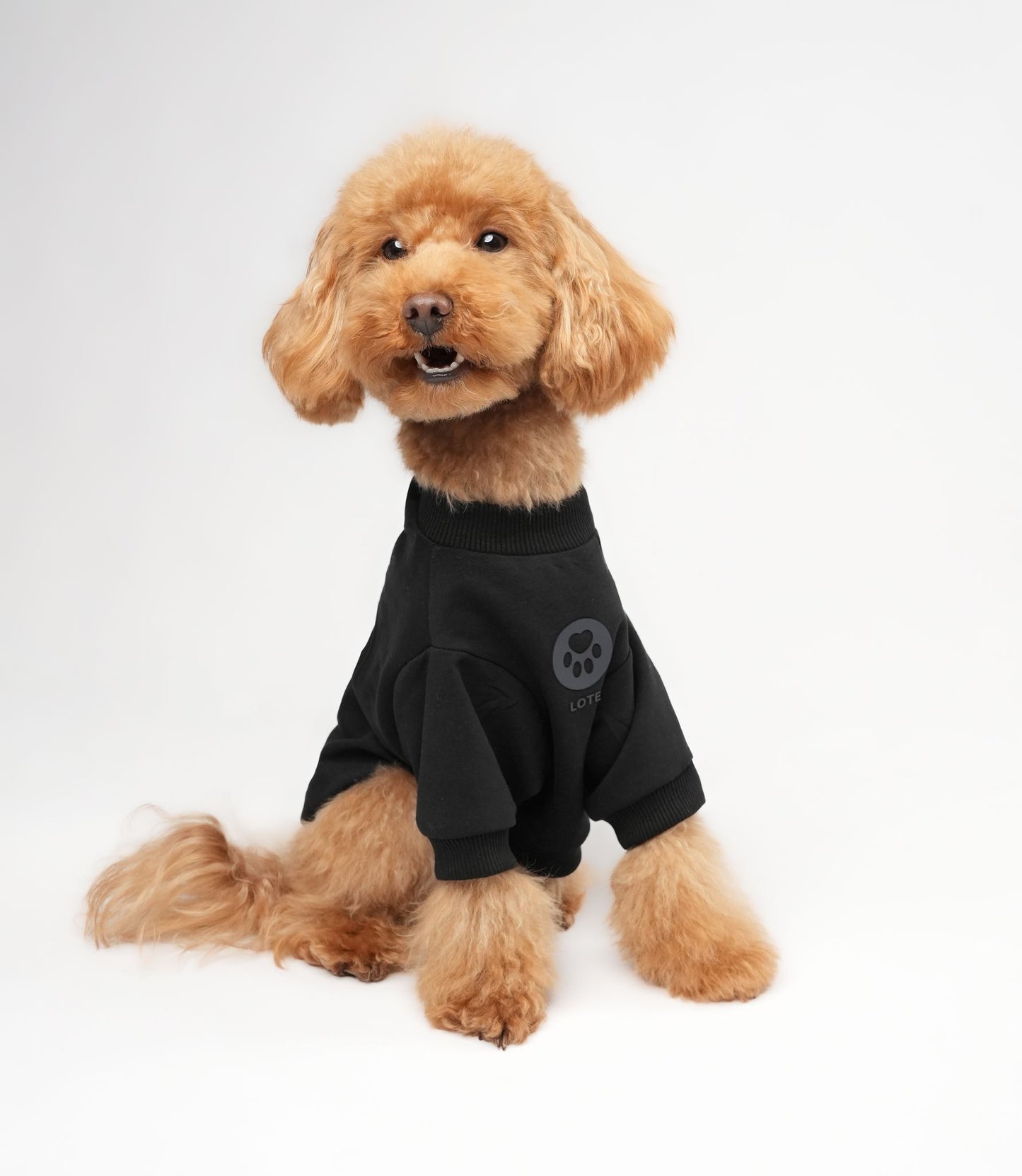 LOTE DOG BLACK SWEATSHIRT