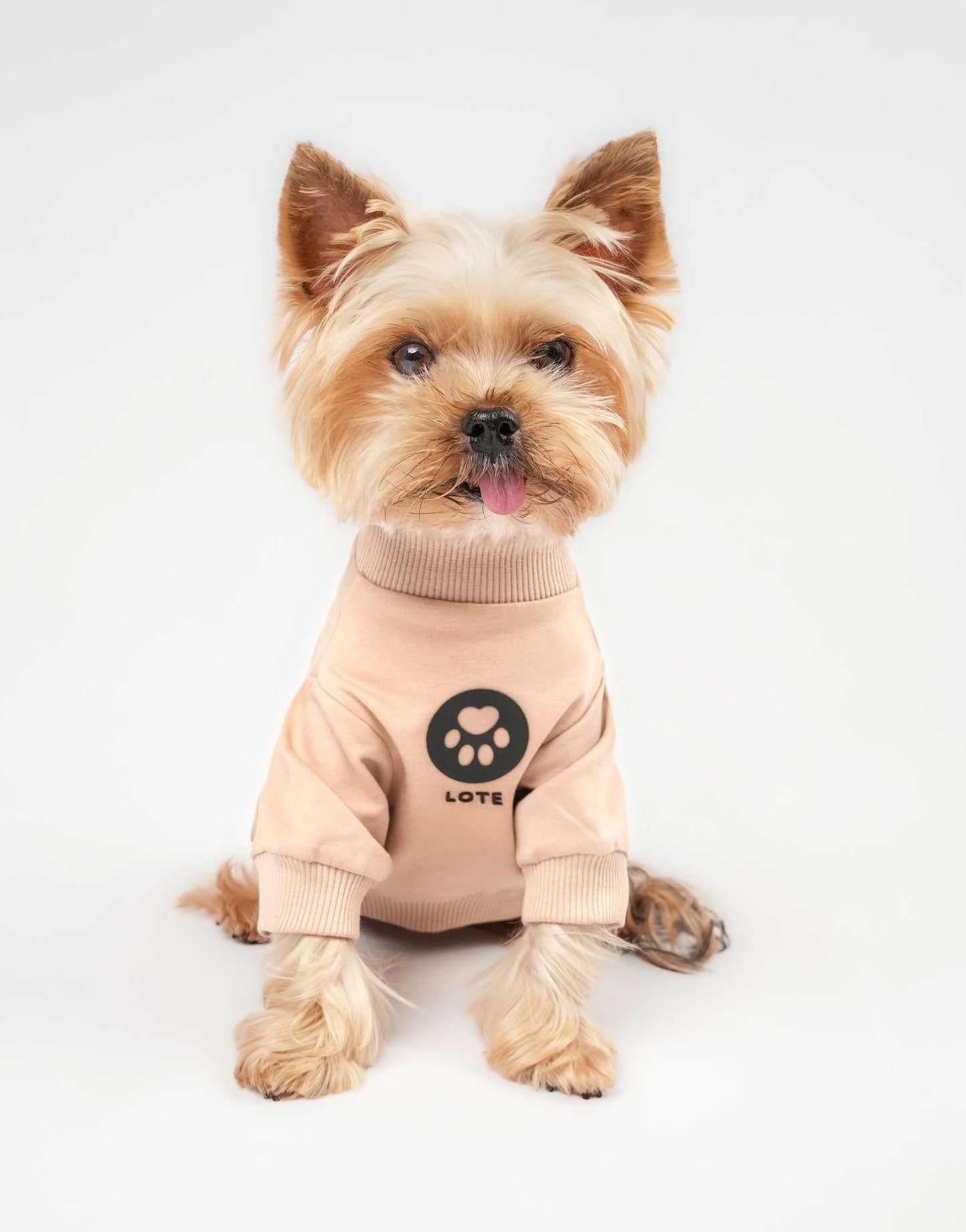 LOTE DOG BEIGE SWEATSHIRT