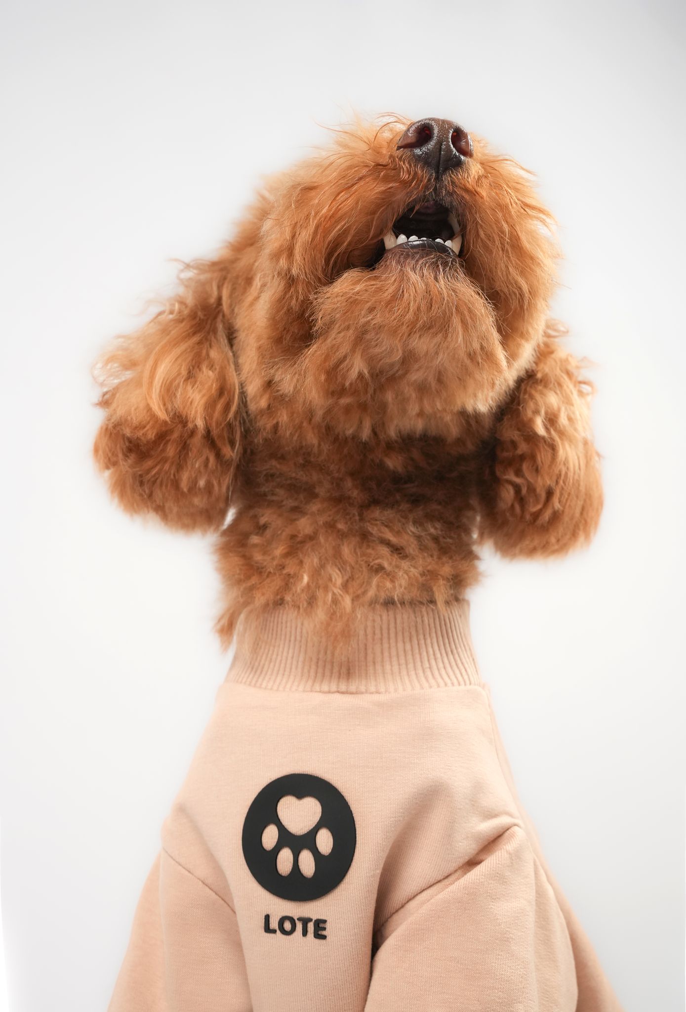 LOTE DOG BEIGE SWEATSHIRT