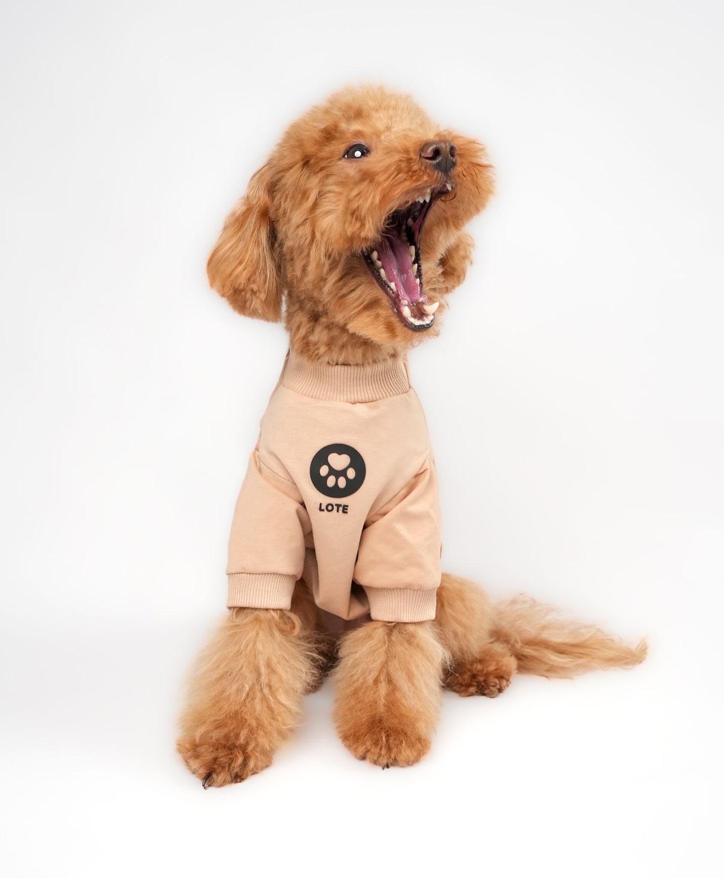 LOTE DOG BEIGE SWEATSHIRT