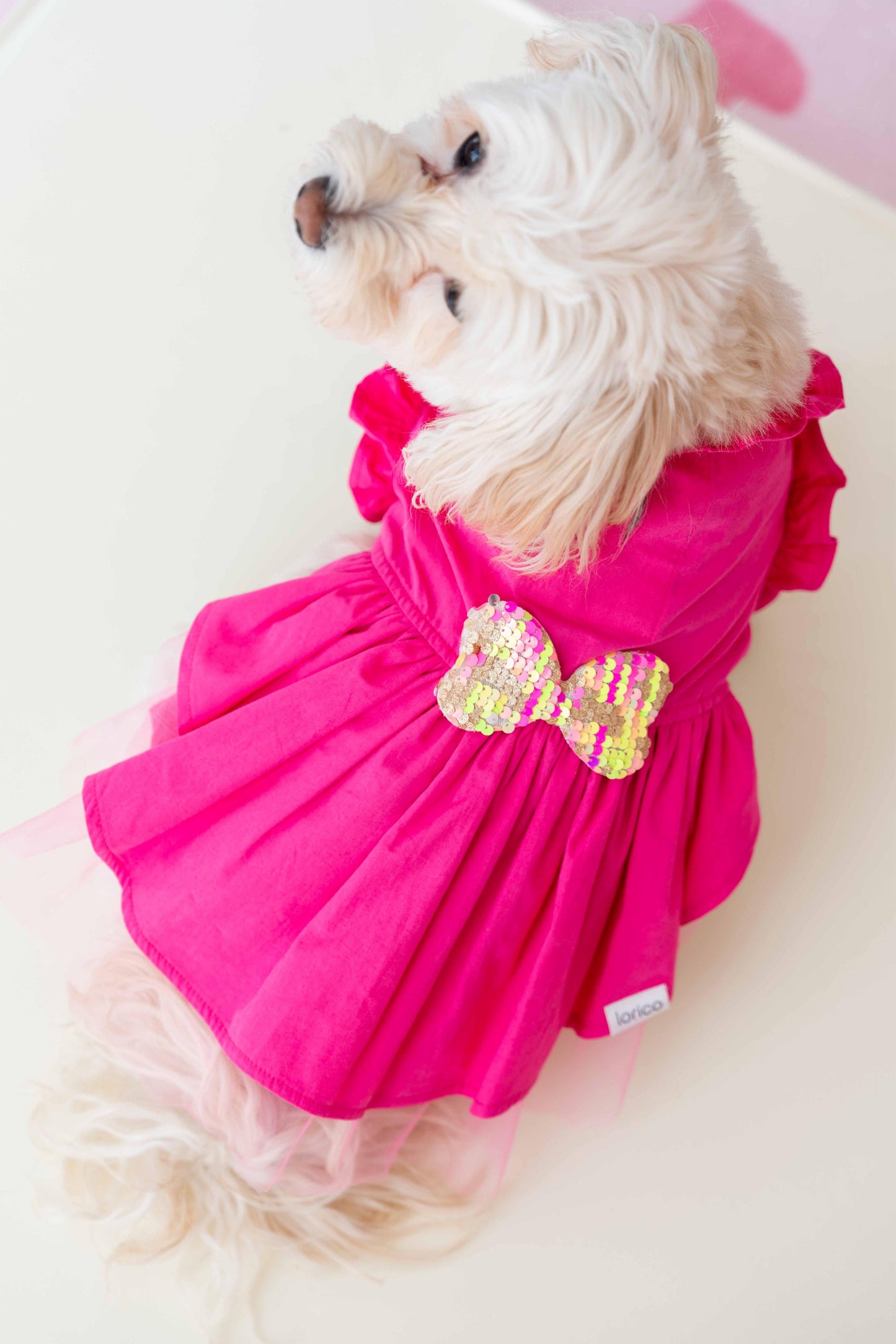 LORİCO PEMBE FİYOK DESEN KÖPEK ELBİSE
