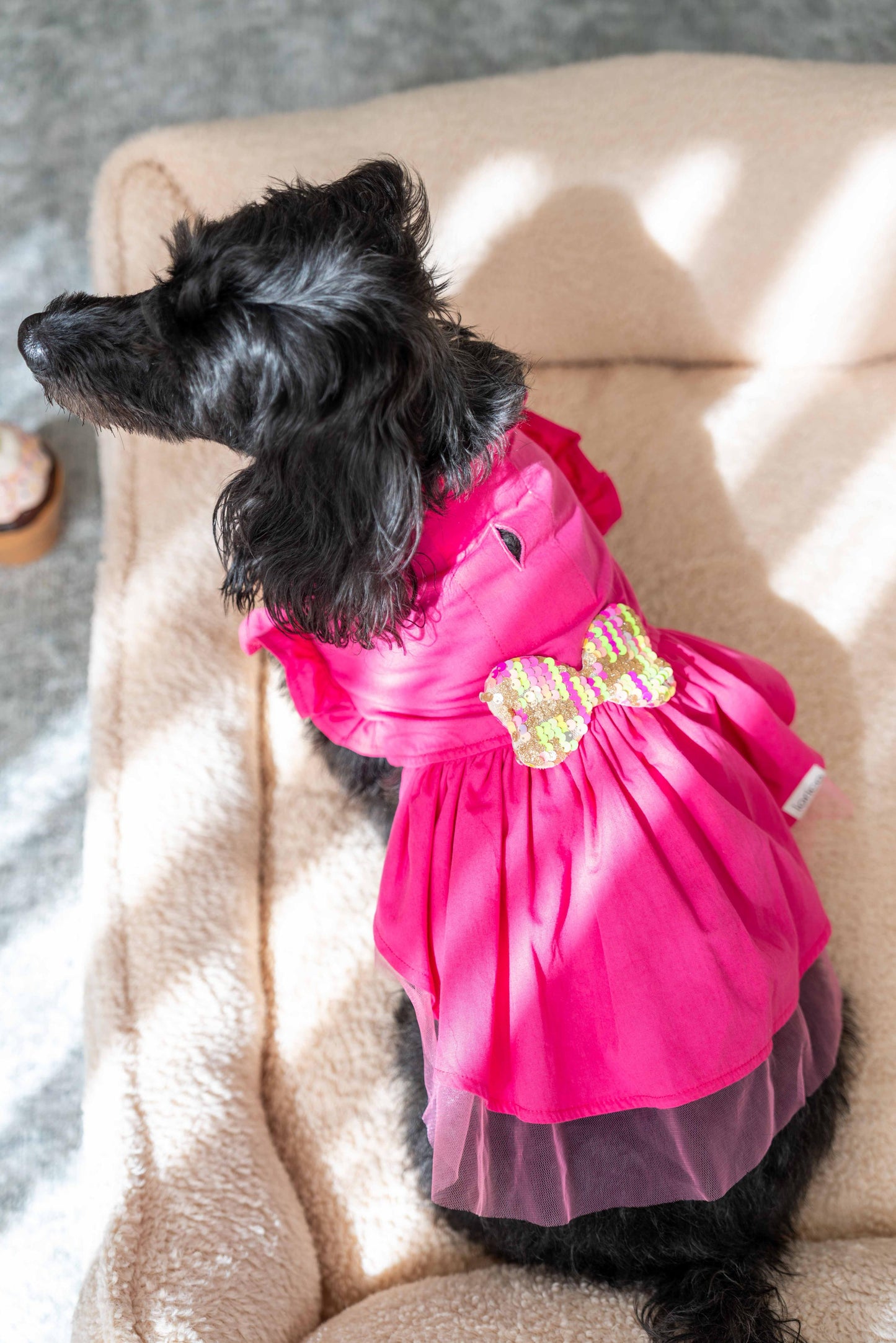LORİCO PEMBE FİYOK DESEN KÖPEK ELBİSE