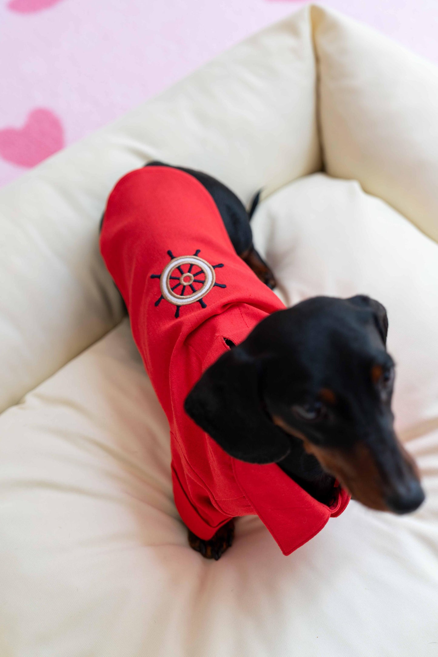 LORİCO KİREMİT DÜMEN DESEN KÖPEK GÖMLEK
