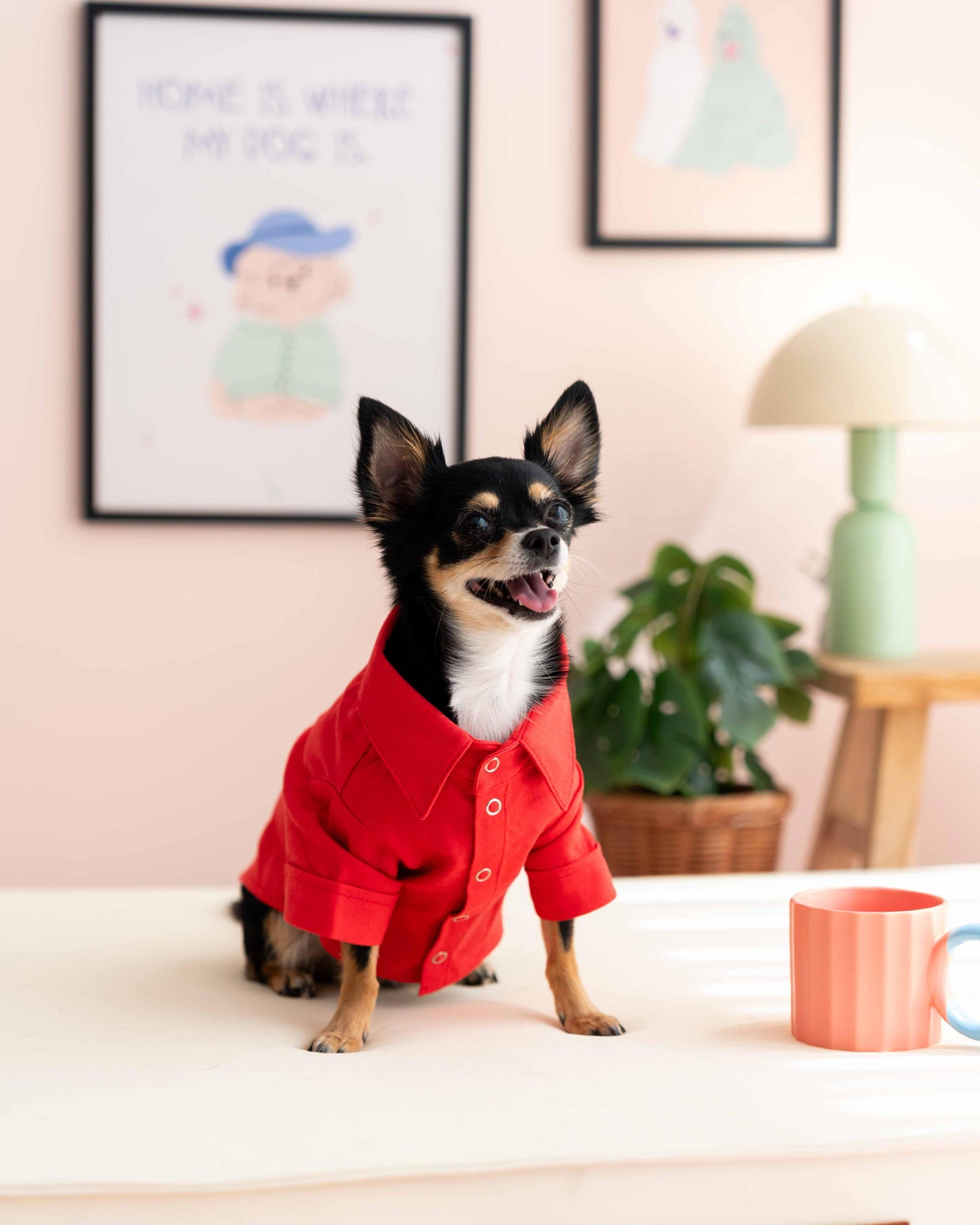 LORİCO KİREMİT DÜMEN DESEN KÖPEK GÖMLEK