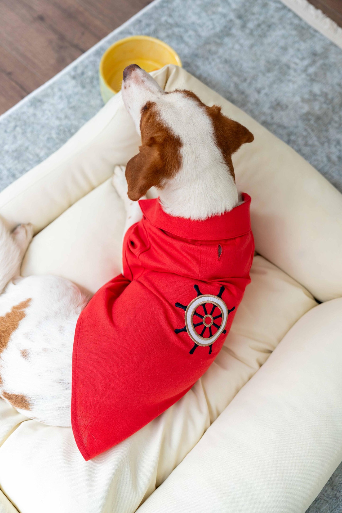 LORİCO KİREMİT DÜMEN DESEN KÖPEK GÖMLEK