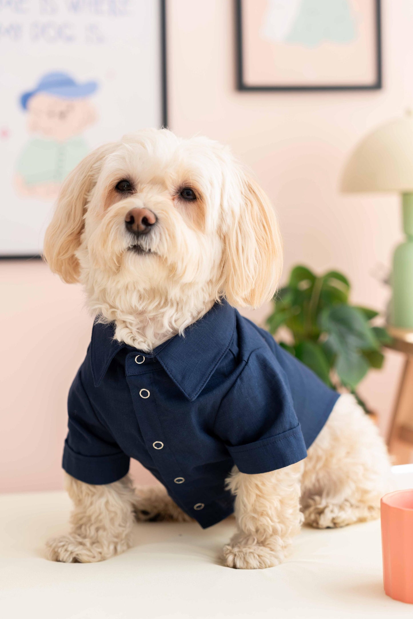 LORICO ANCHOR PATTERNED NAVY DOG SHIRT