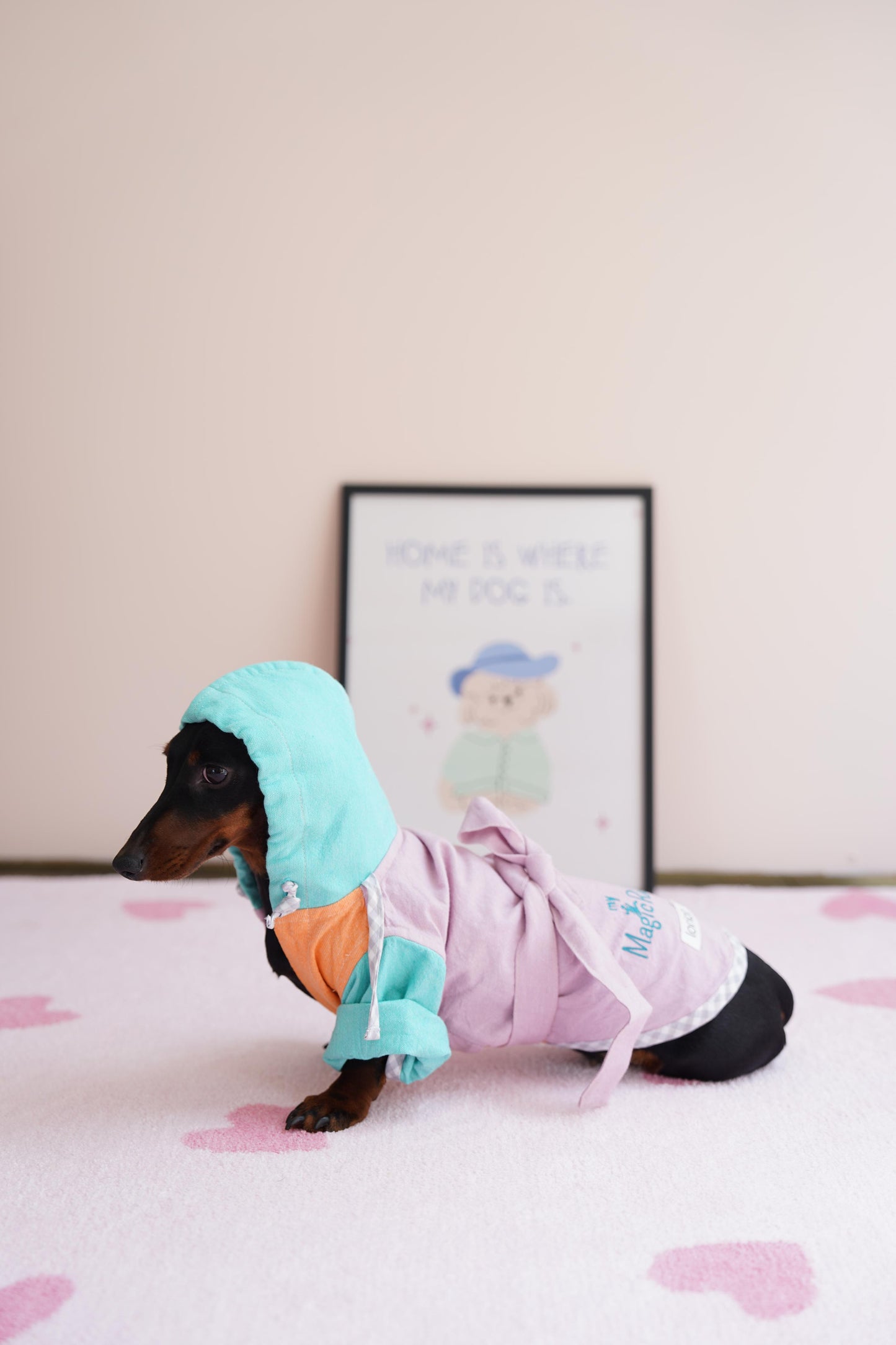LORİCO PAMUKLU KOTON KÖPEK BORNOZ