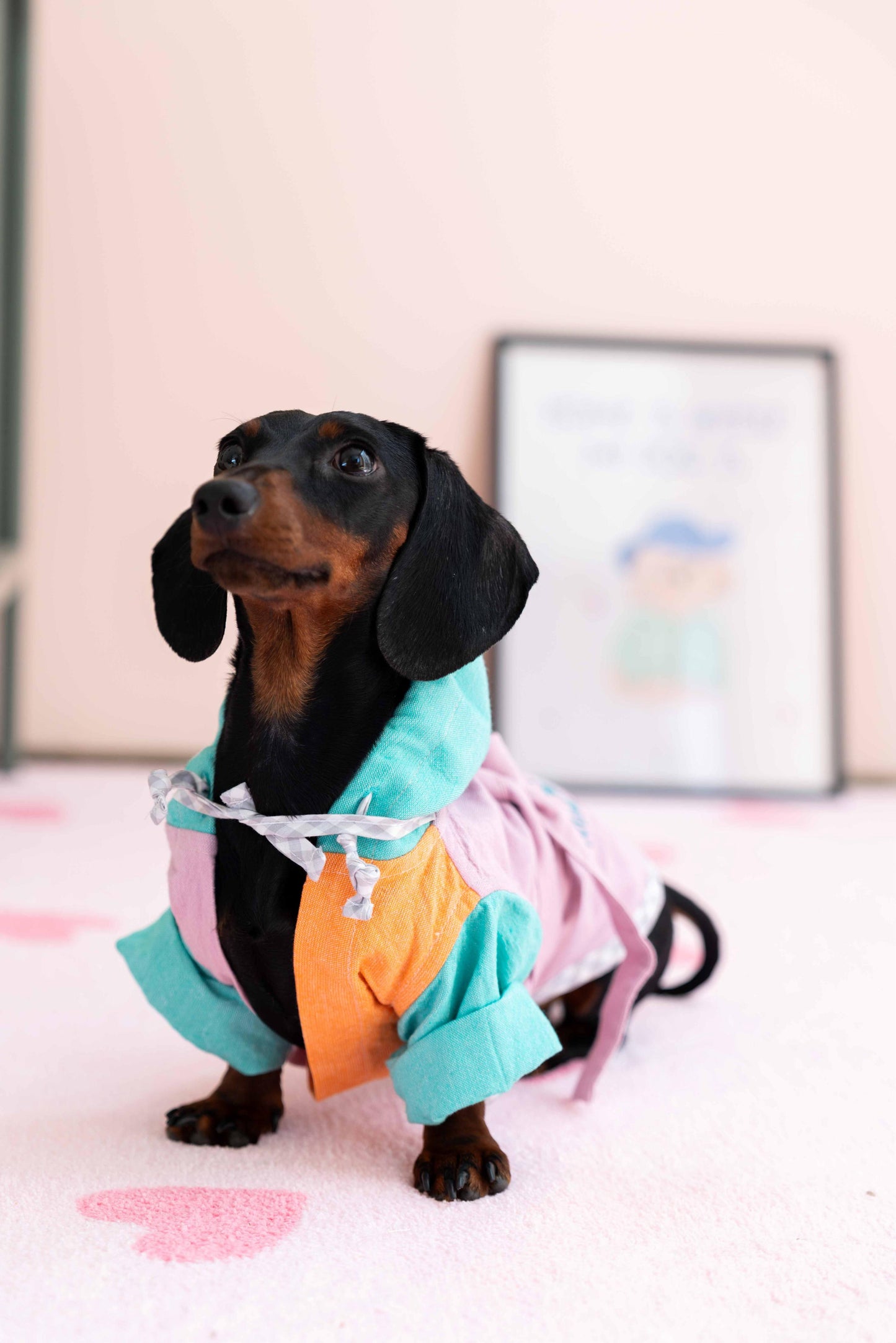 LORİCO PAMUKLU KOTON KÖPEK BORNOZ
