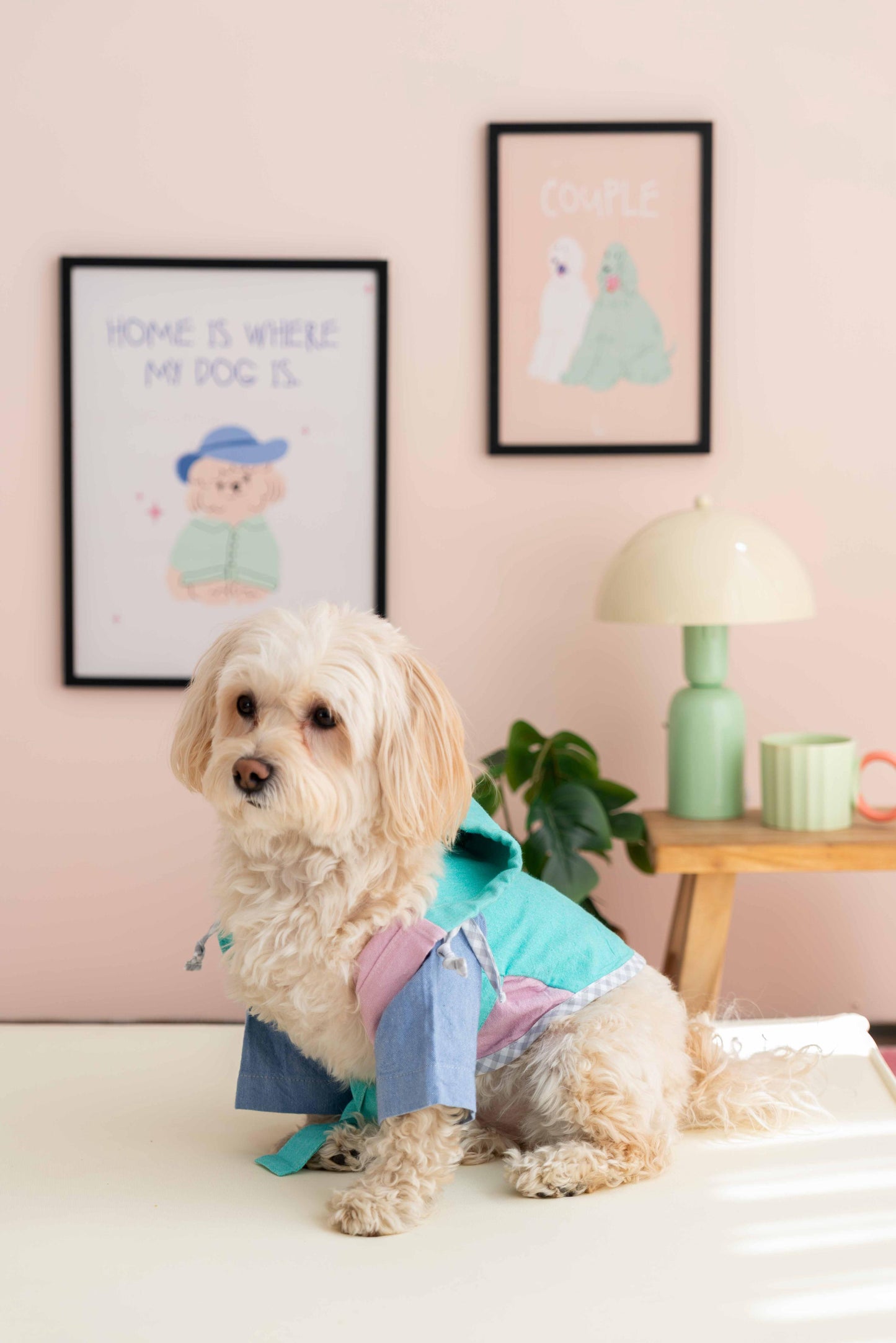 LORİCO PAMUKLU KOTON KÖPEK BORNOZ