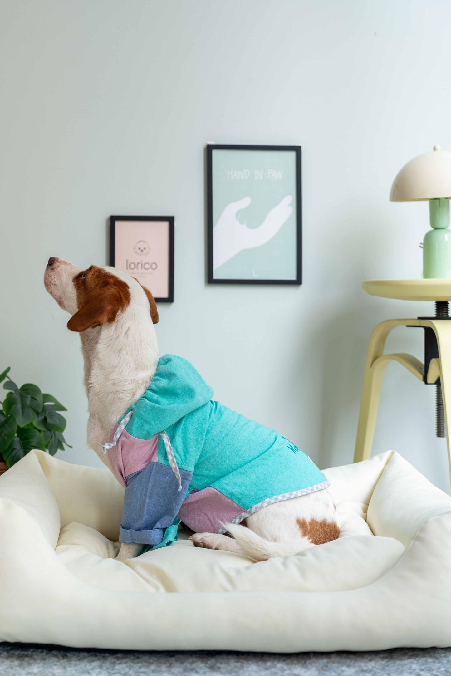LORİCO PAMUKLU KOTON KÖPEK BORNOZ