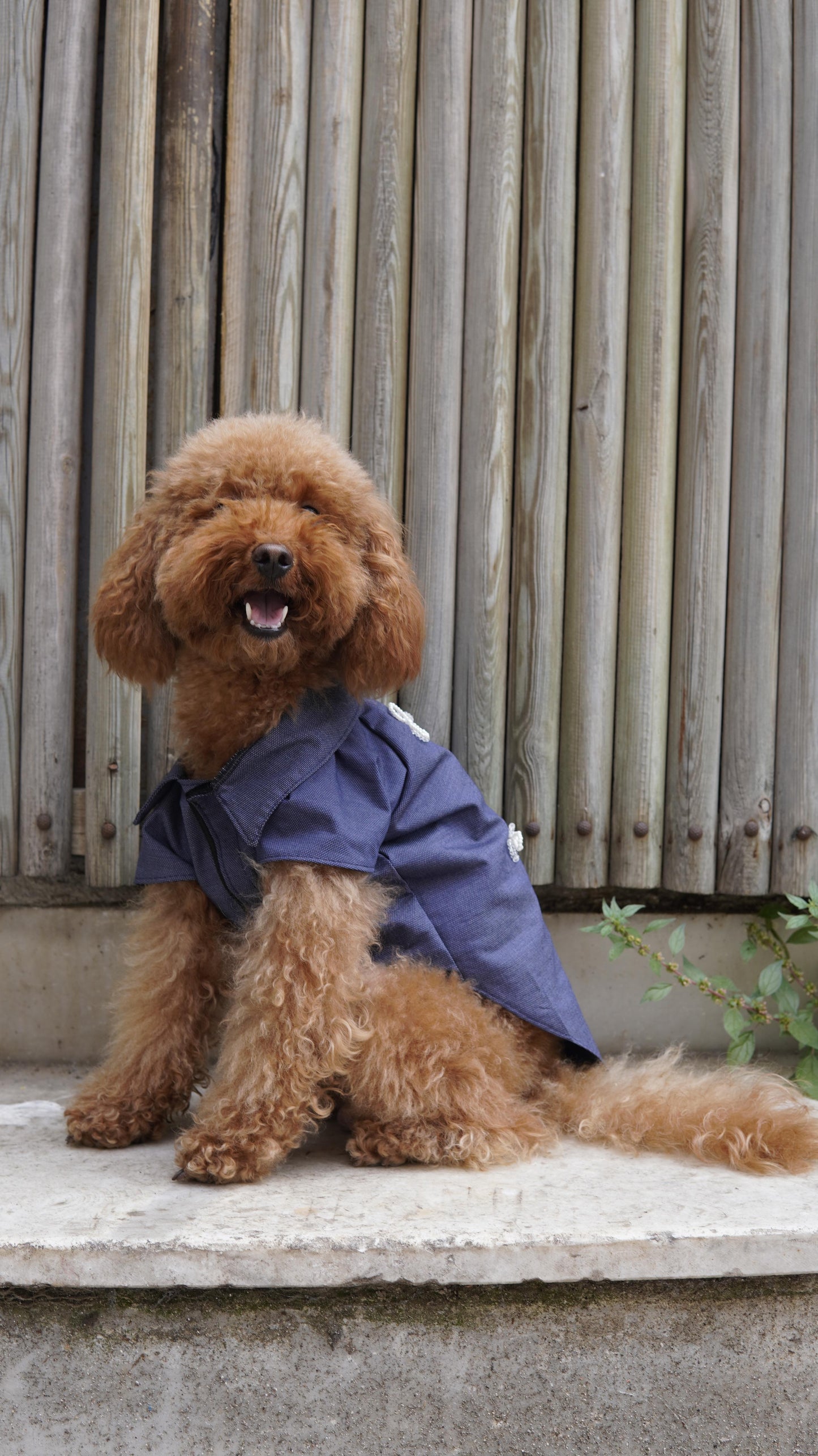 LOTE BOWMIN DOG SHIRT