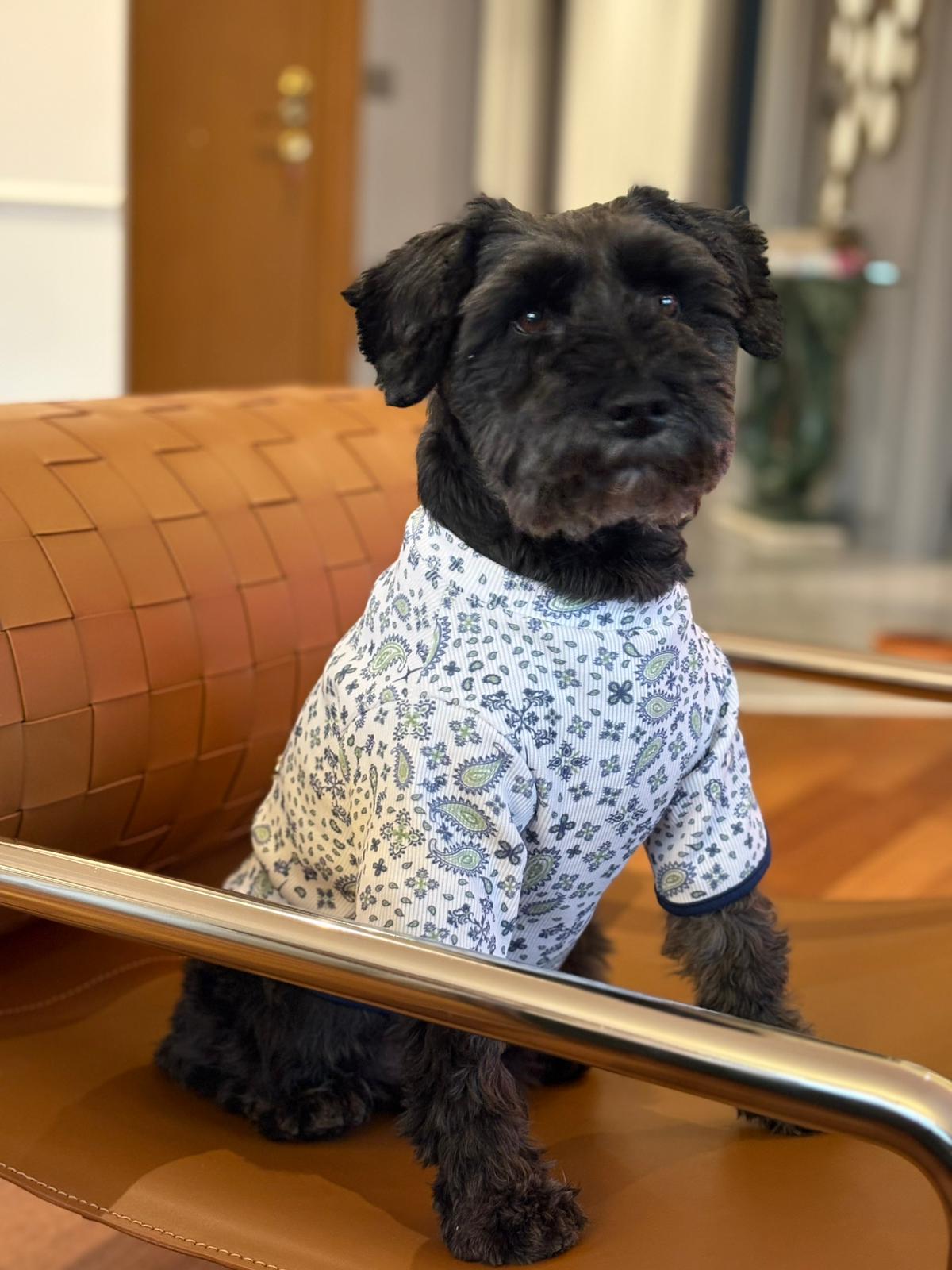 MY PETİT PAW KUJTEN DESEN KÖPEK TİŞÖRT