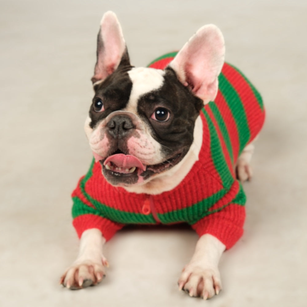 Dalton Green Red Striped Dog Sweater