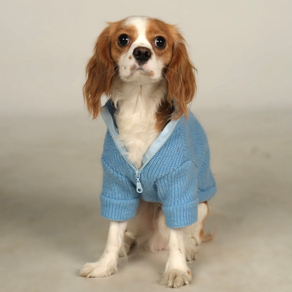 Basic Blue Knit Dog Sweater