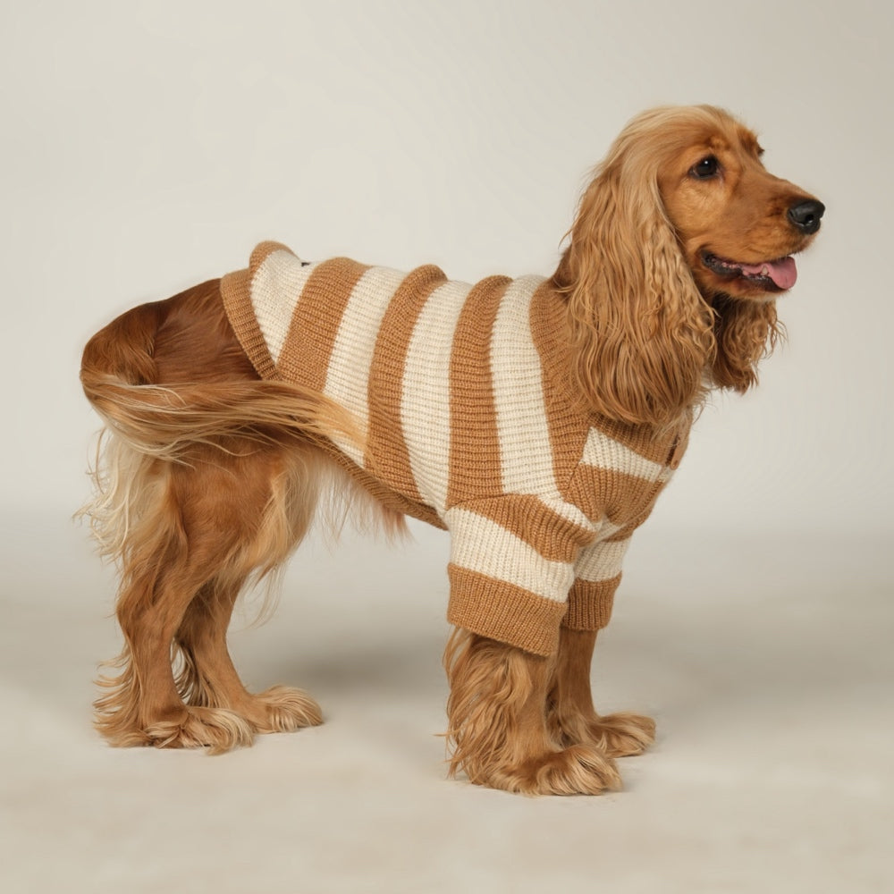 Dalton Brown Ecru Striped Dog Sweater