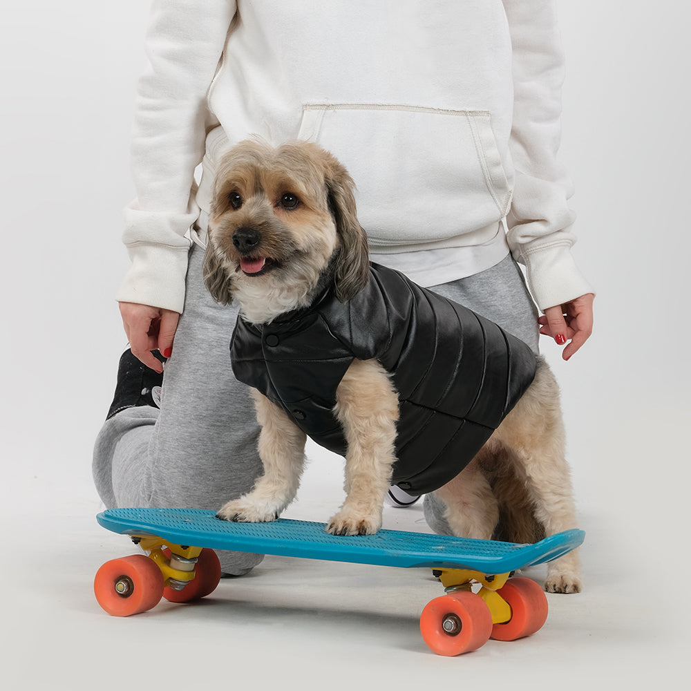 JACKY LEATHER QUILTED DOG COAT