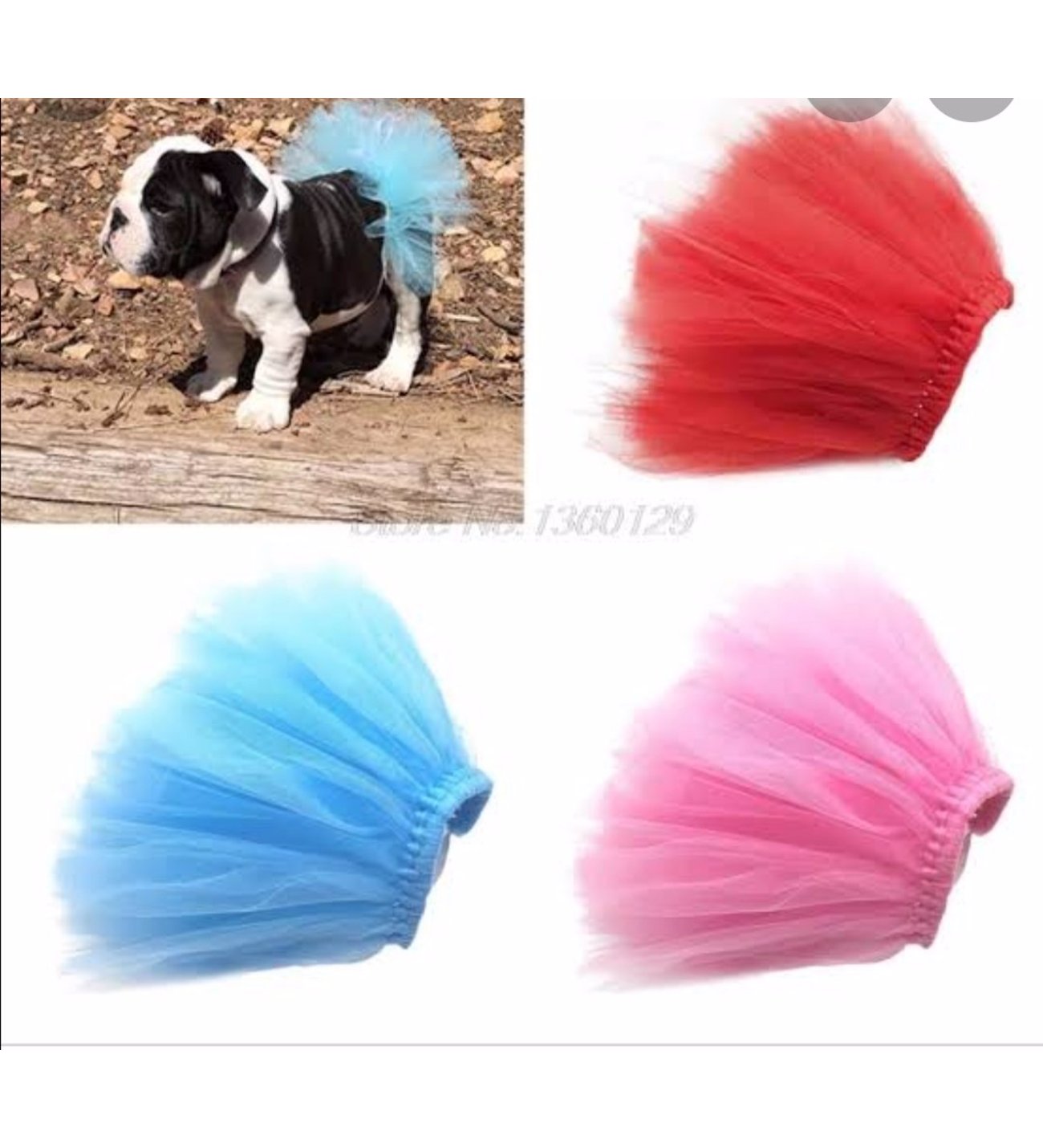 Köpek Tütü Etek