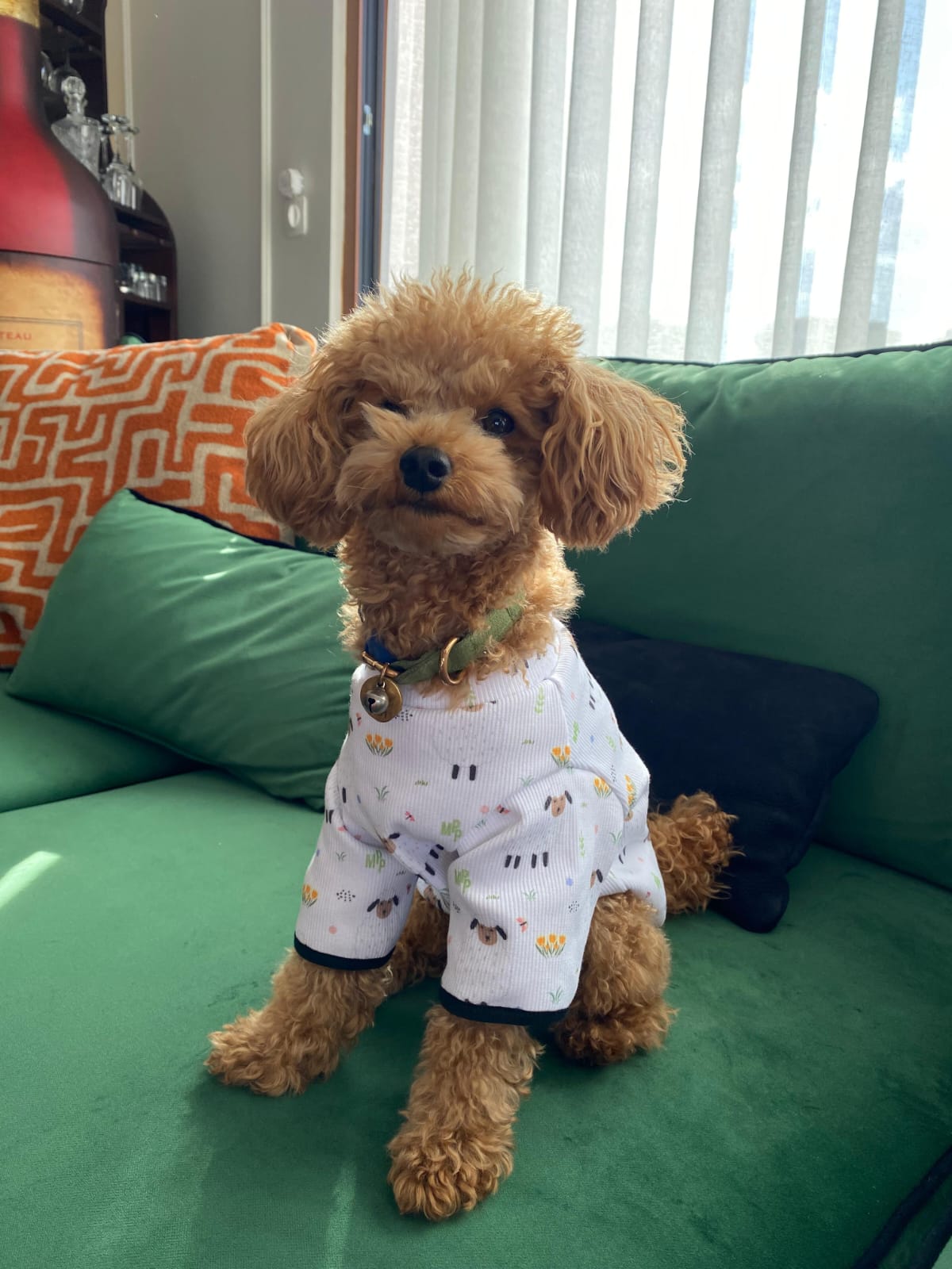 MY PETIT PAW LAMB DOG T-SHIRT