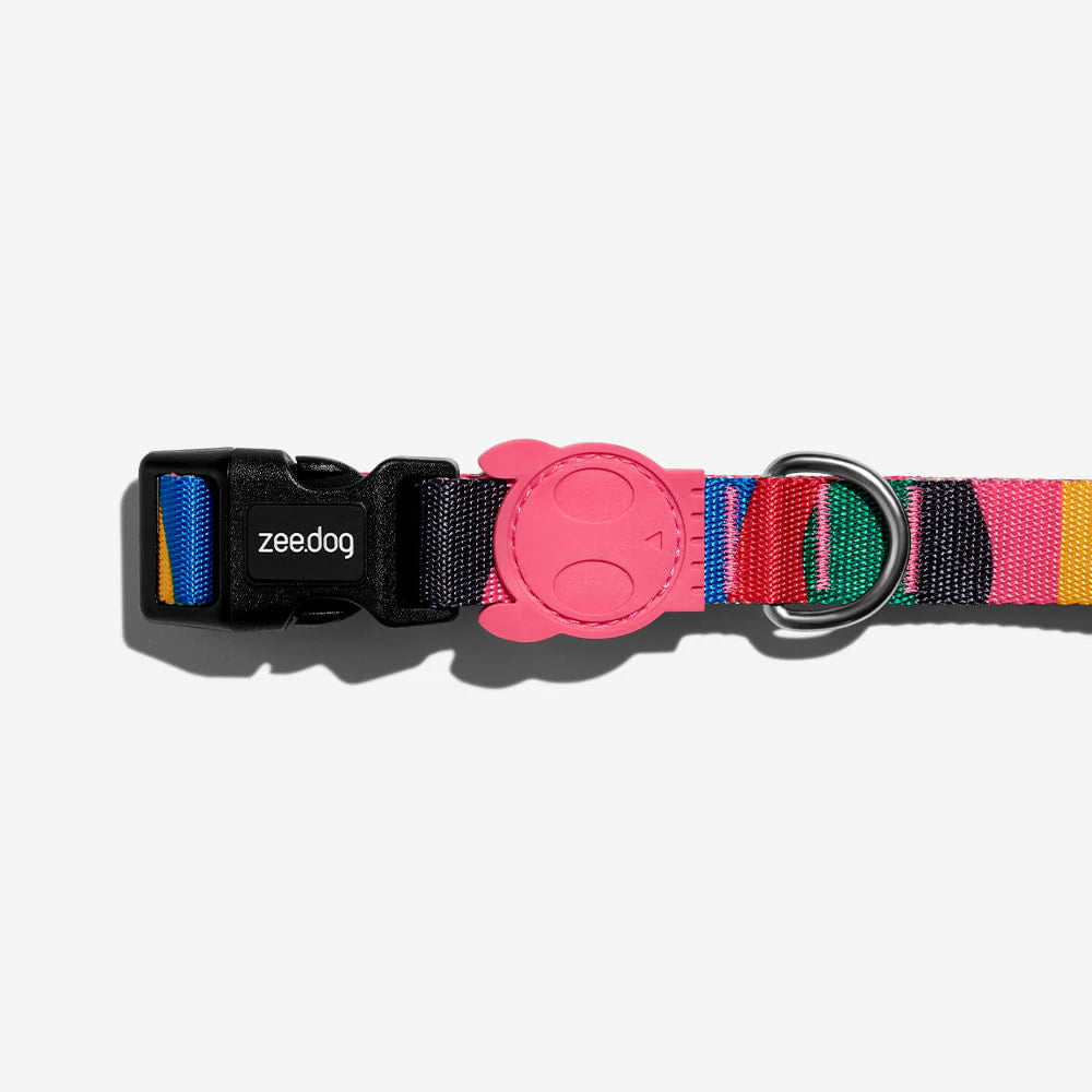 Chroma Dog Collar