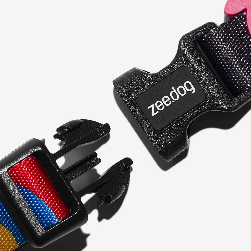 Chroma Dog Collar