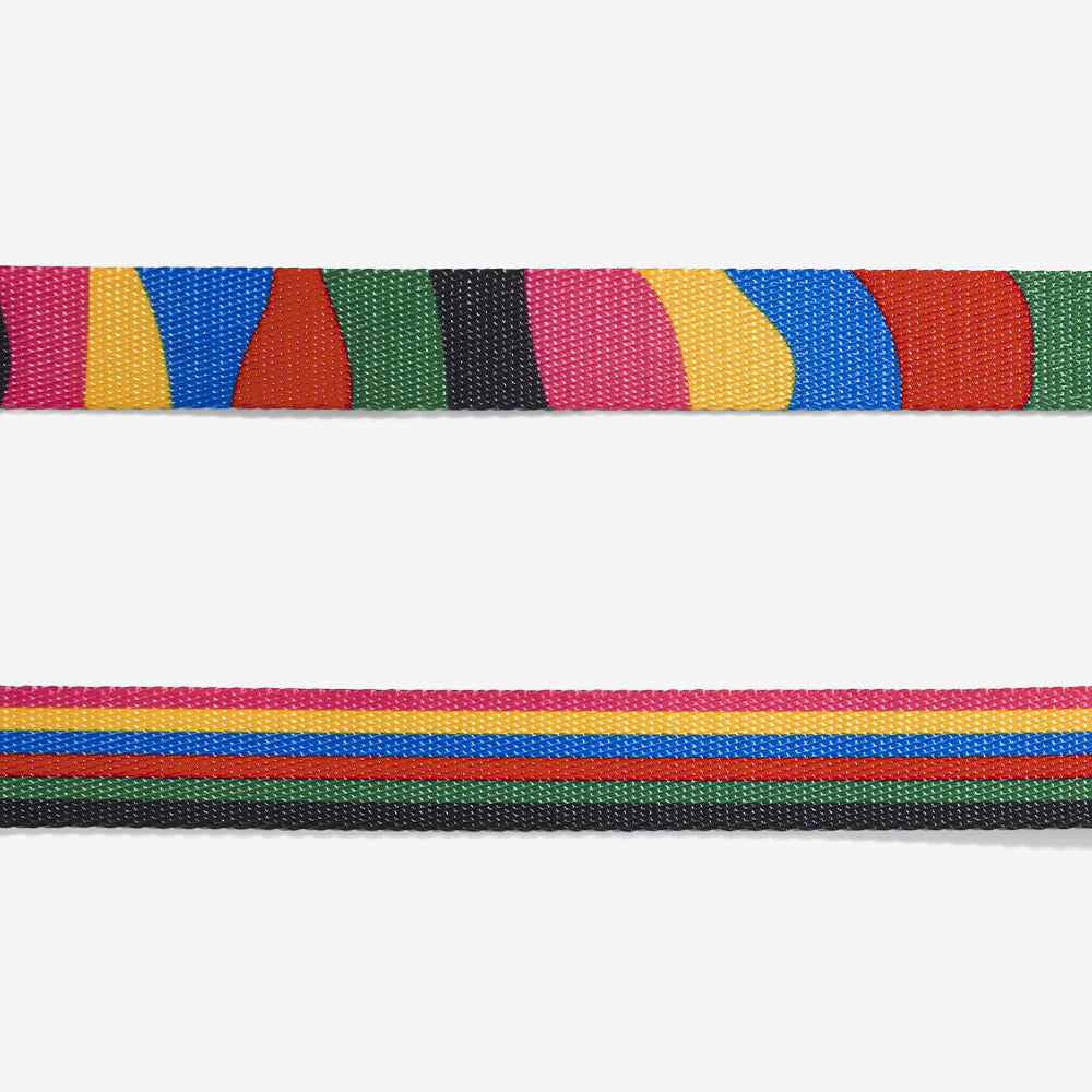 Chroma Dog Collar