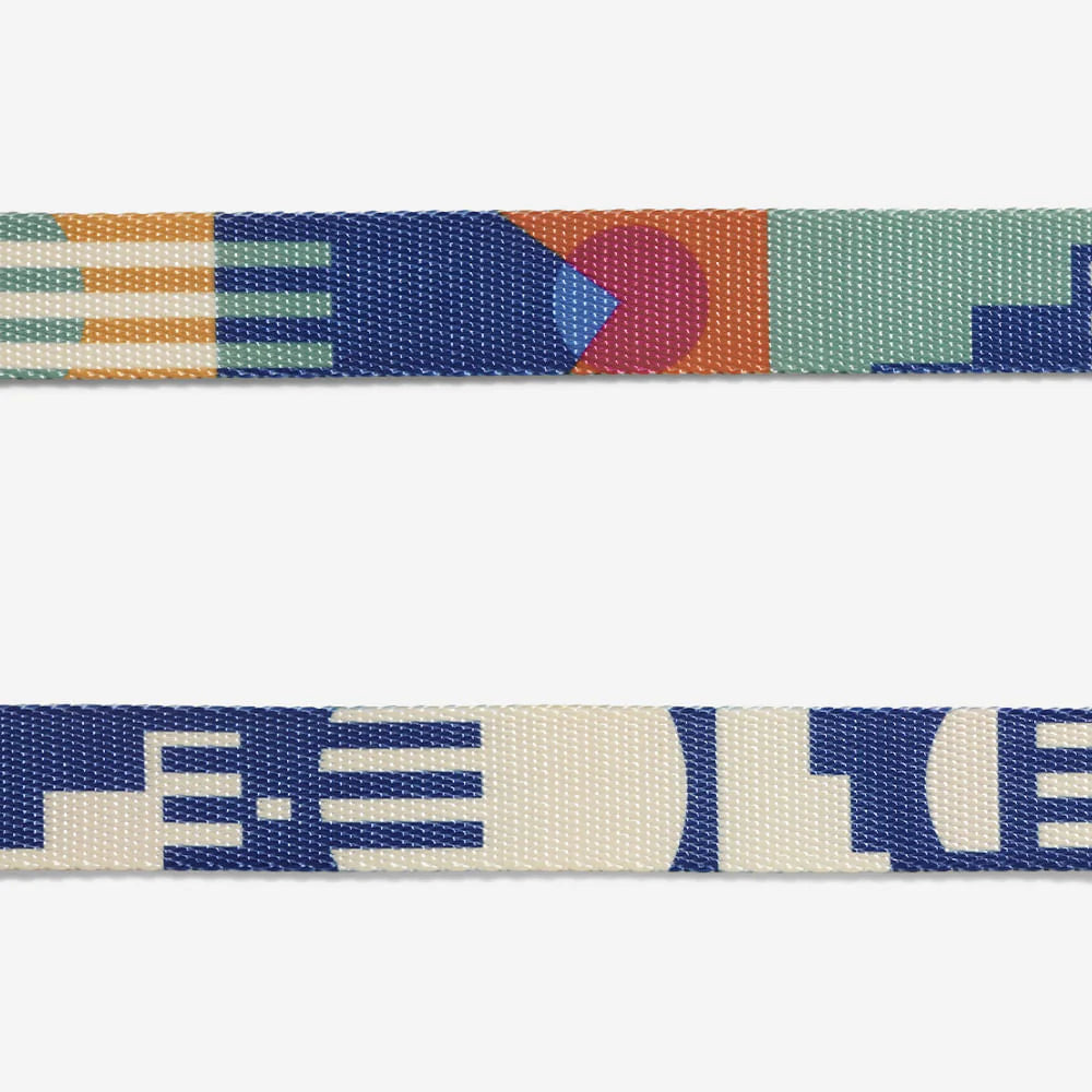 Maze Dog Collar