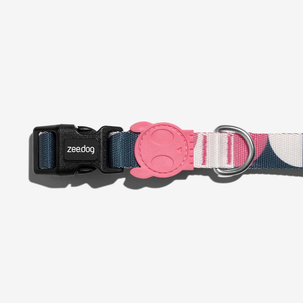 Split Dog Collar