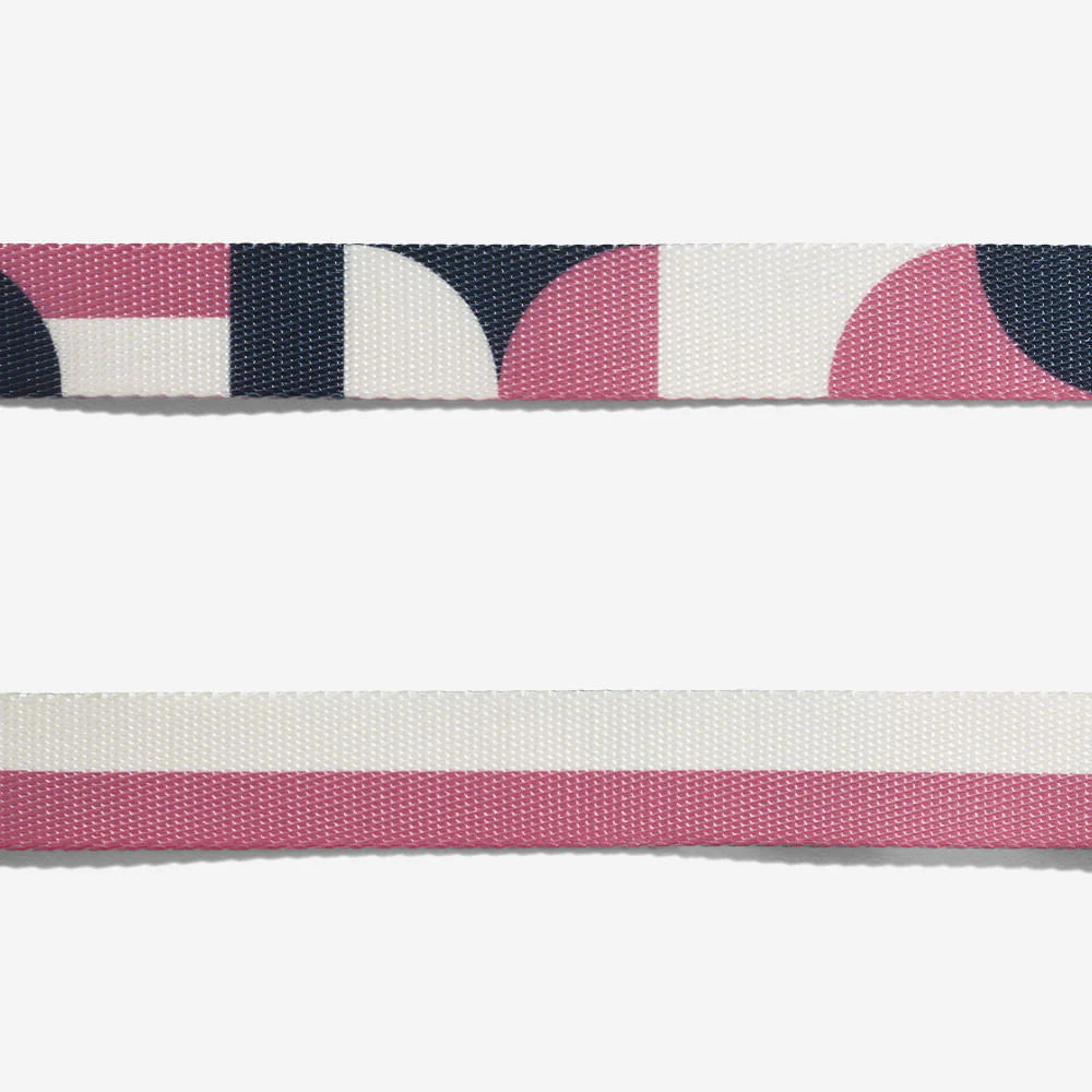 Split Dog Collar