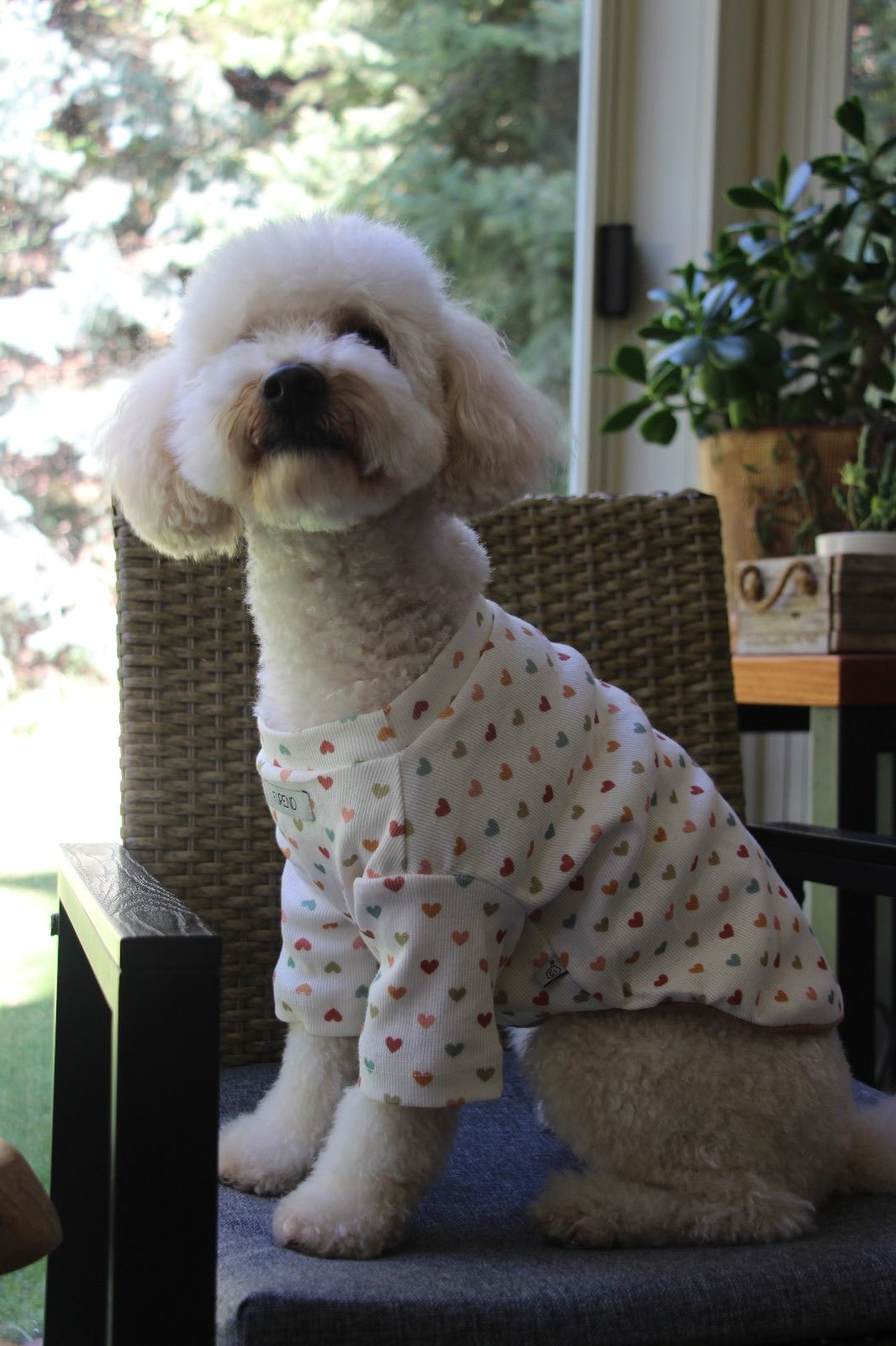 FUREND WHITE HEART DOG T-SHIRT
