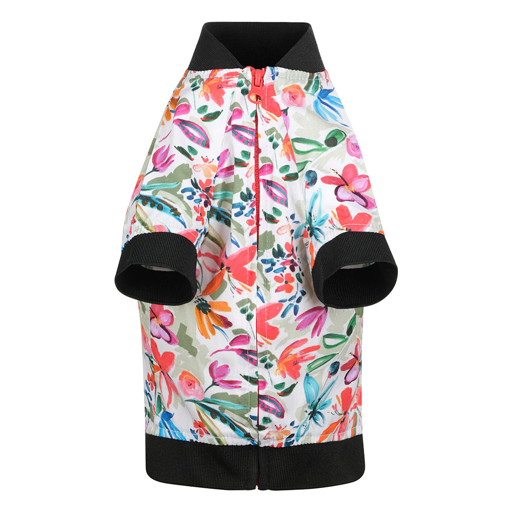 HOLLIE HAWAI KÖPEK BOMBER