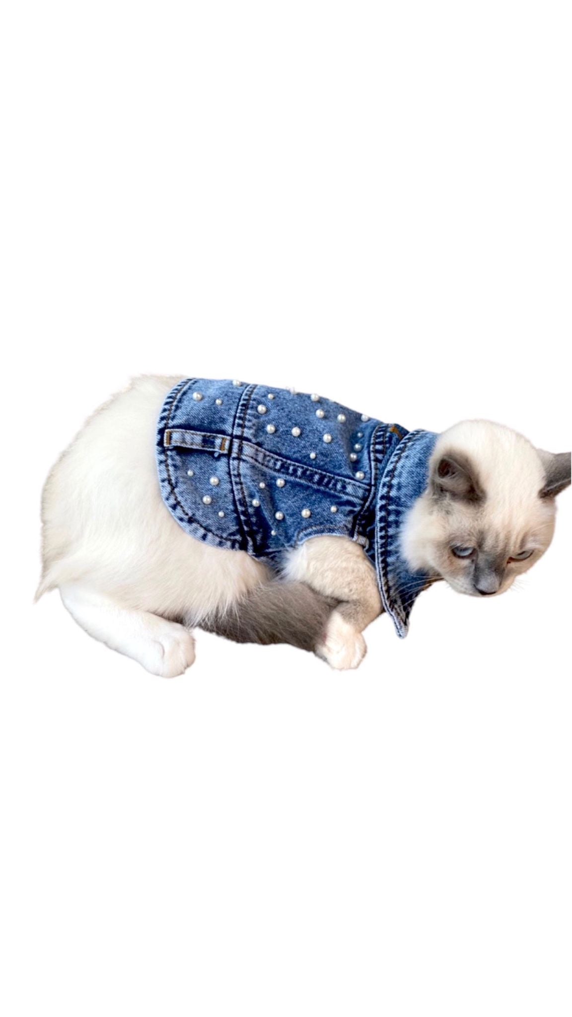 PEARL DOG DENIM VEST